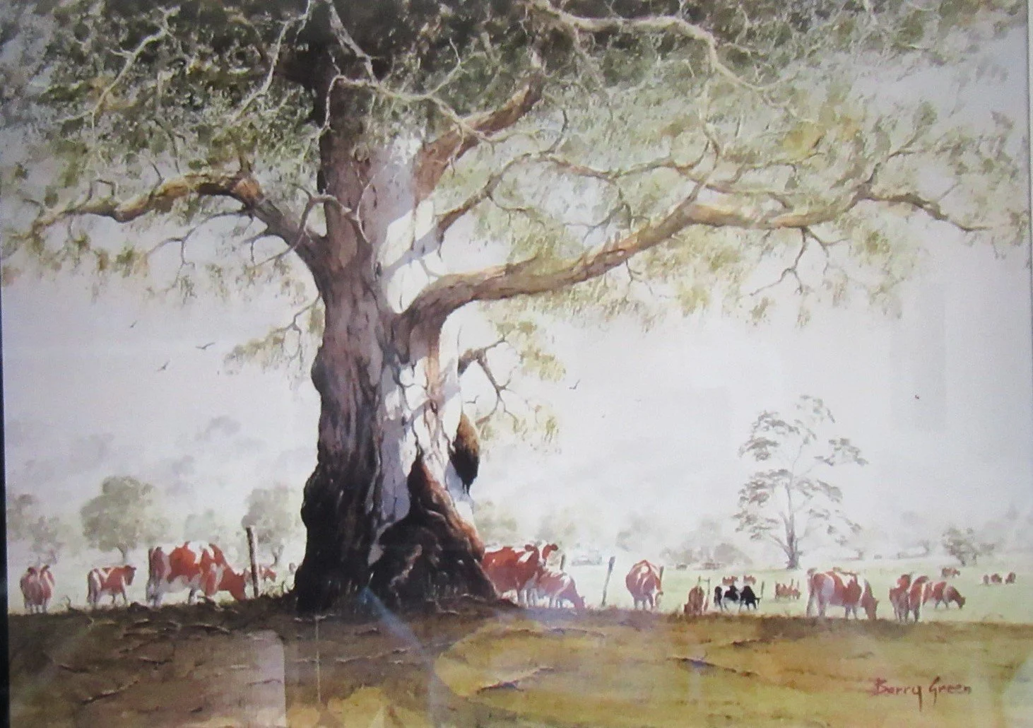 A Beautiful Sunrise painting by Barry Green – pastel of Maleny sunrise with eucalyptus trees and grazing cattle