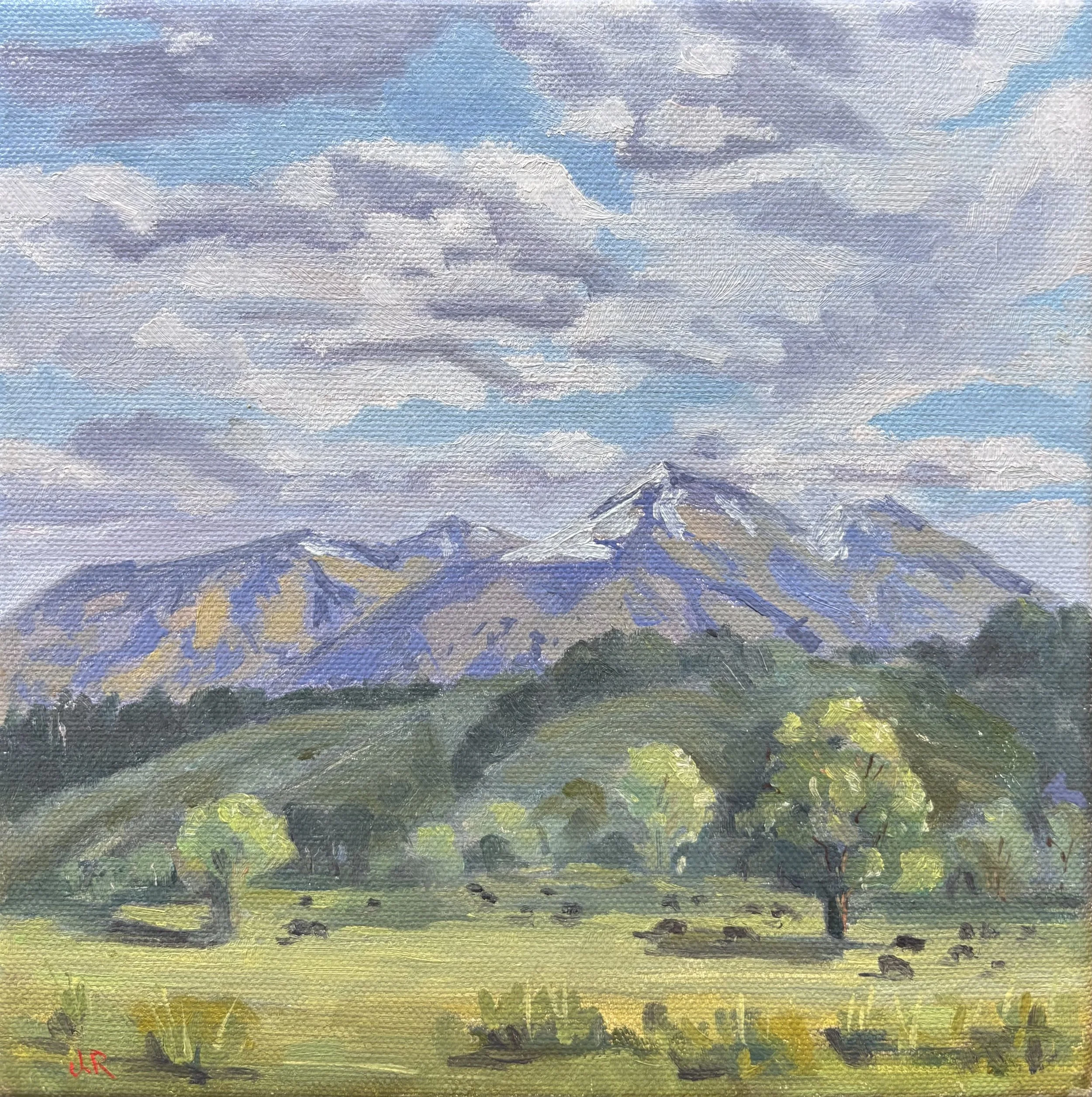 Green Meadows |Landscape| Oil painting | Impressionist | JudithRoseArt | collector | Australian Artist