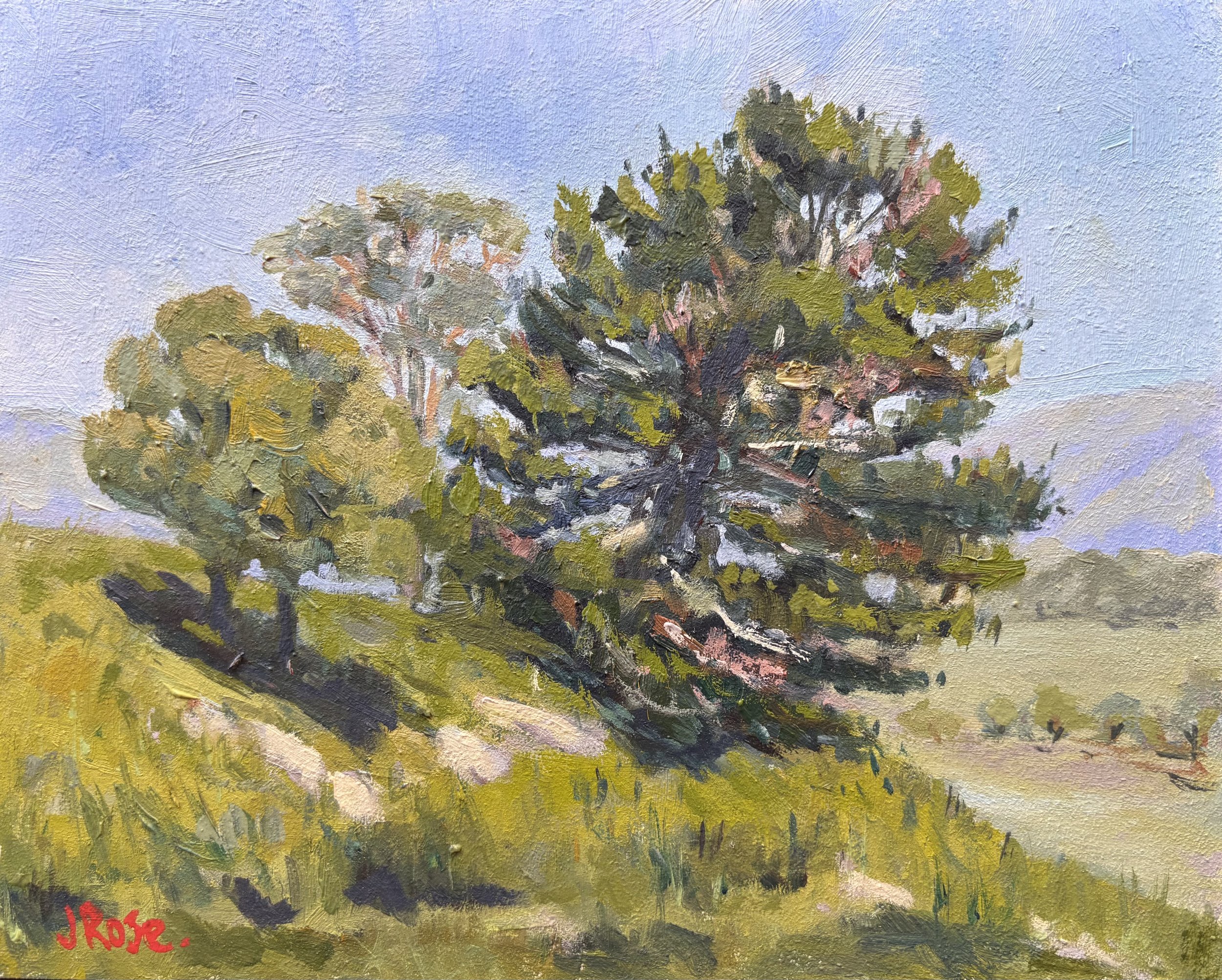 Pine on the Side | Impressionist Oil Painting | Judith Rose Art