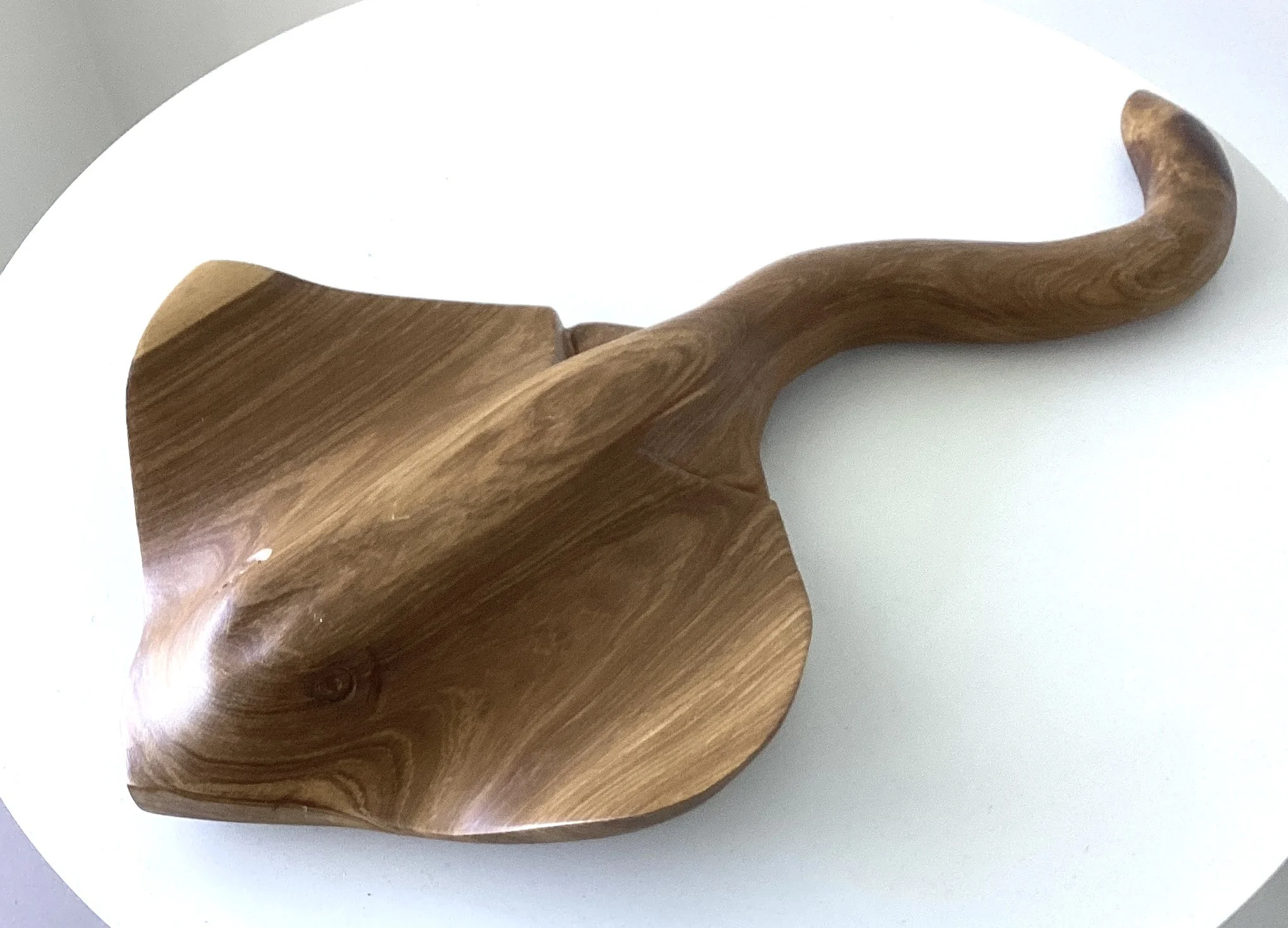Large Stingray (Coastal Cypress)