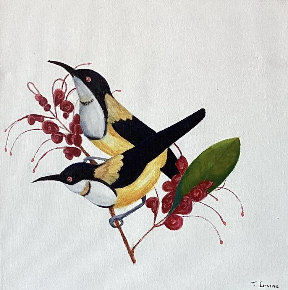 TrevorIrvine Pair of Honeyeaters.jpeg