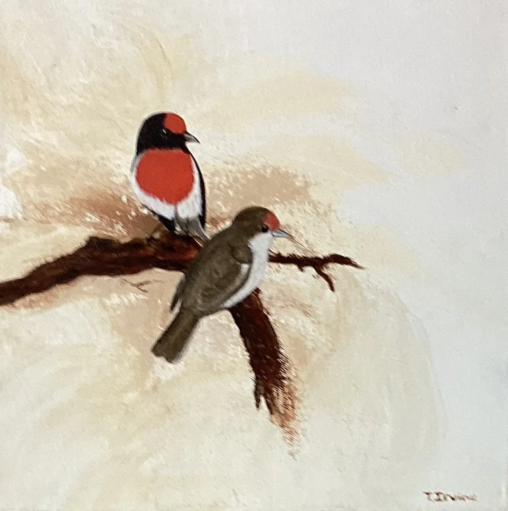 TrevorIrvine Pair of Robins.jpeg