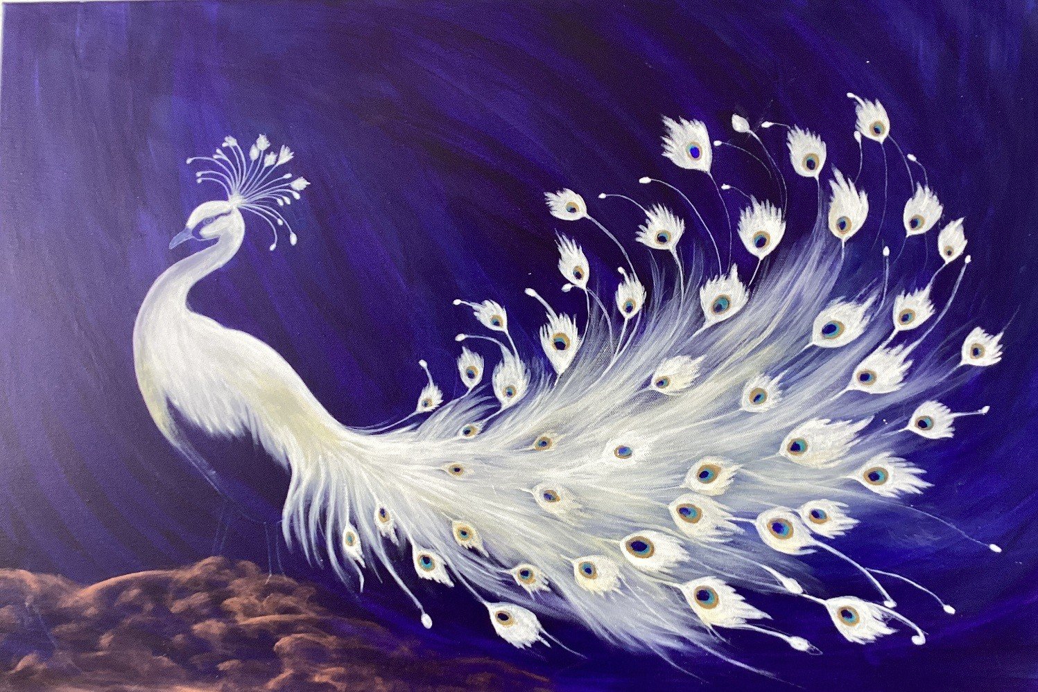 Albino Peacock