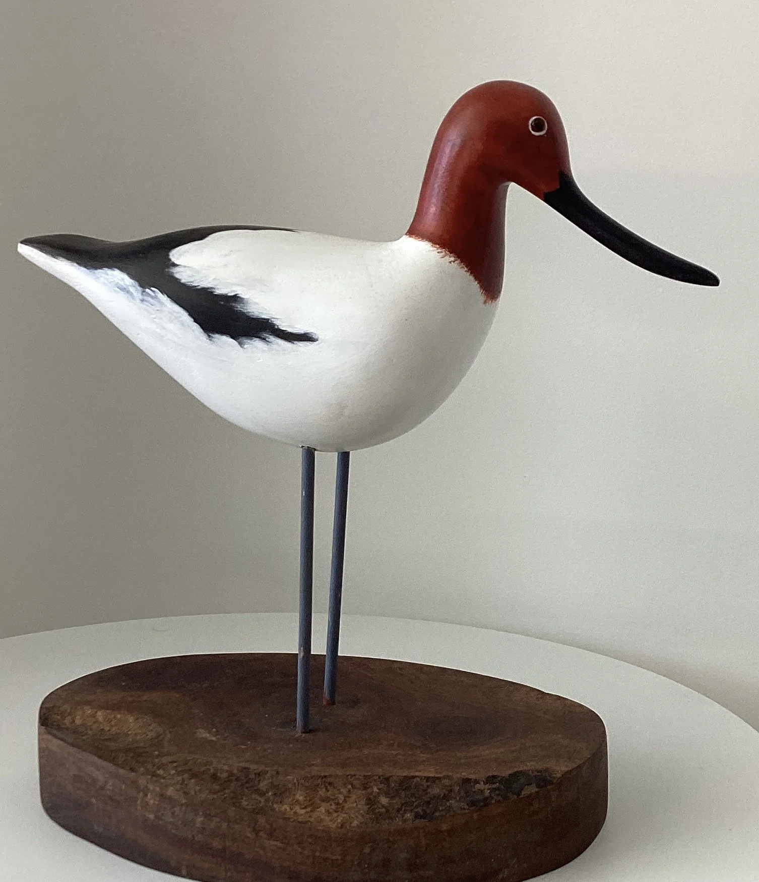 Avocet