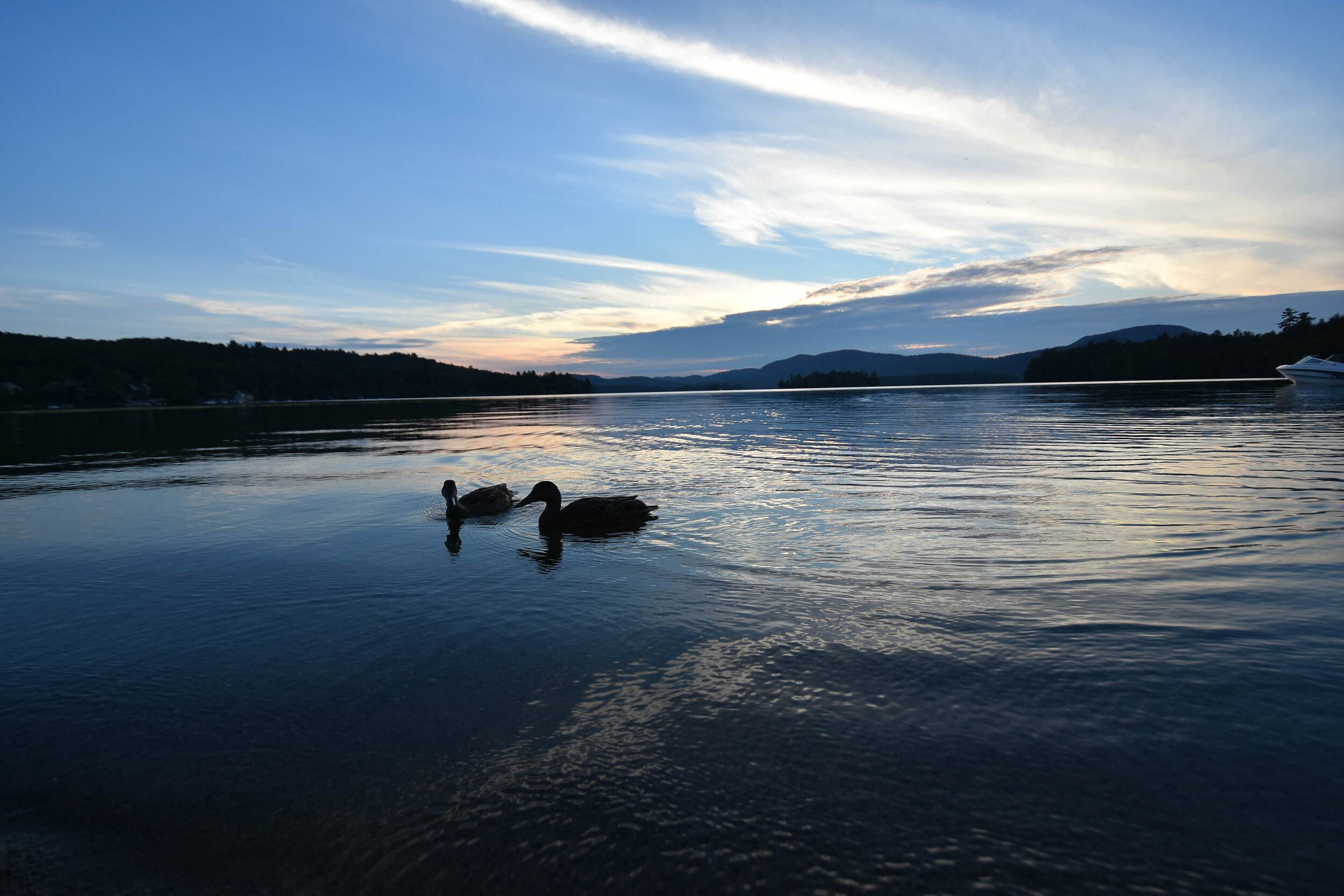 D72_0817.jpg
