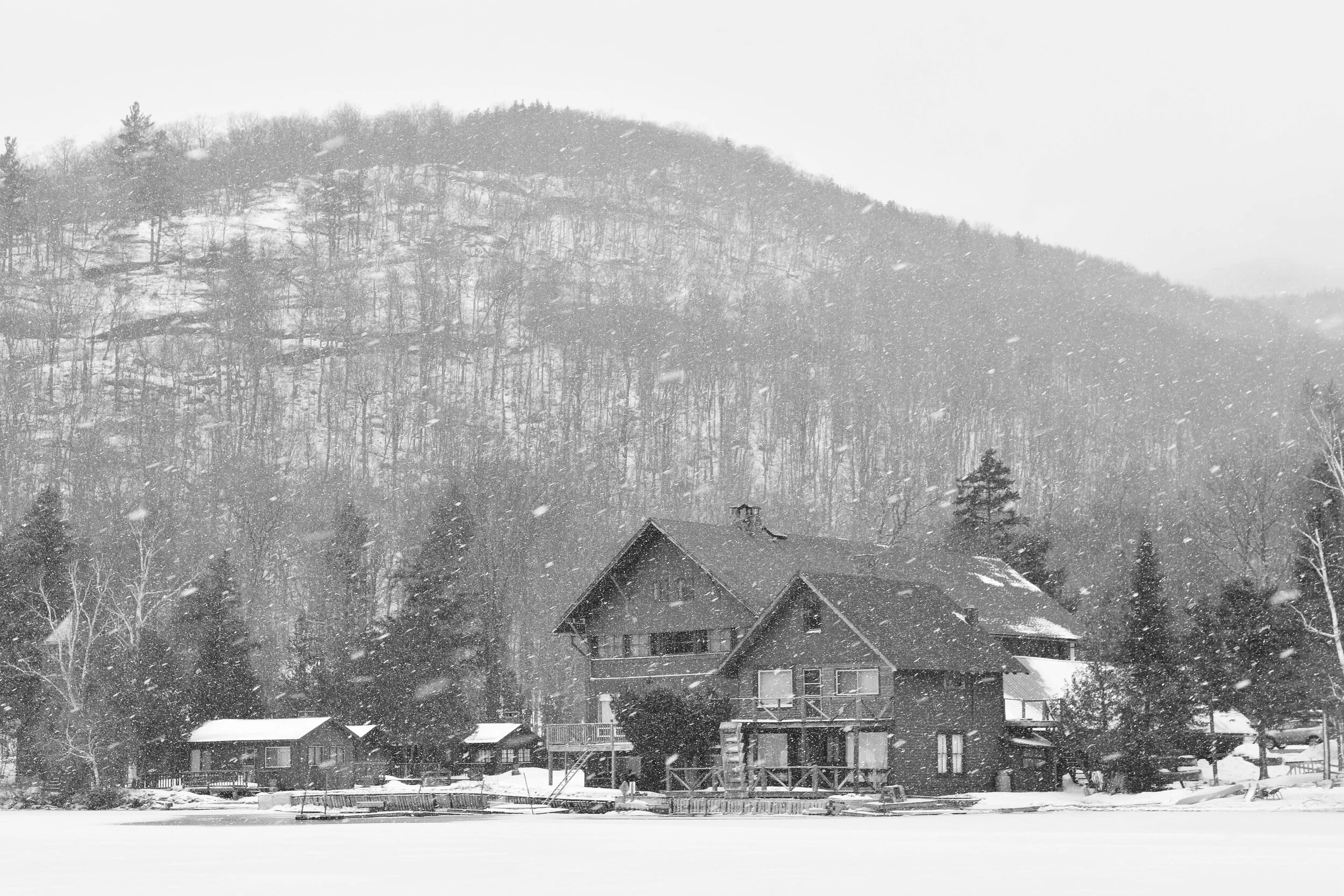D72_2677.jpg