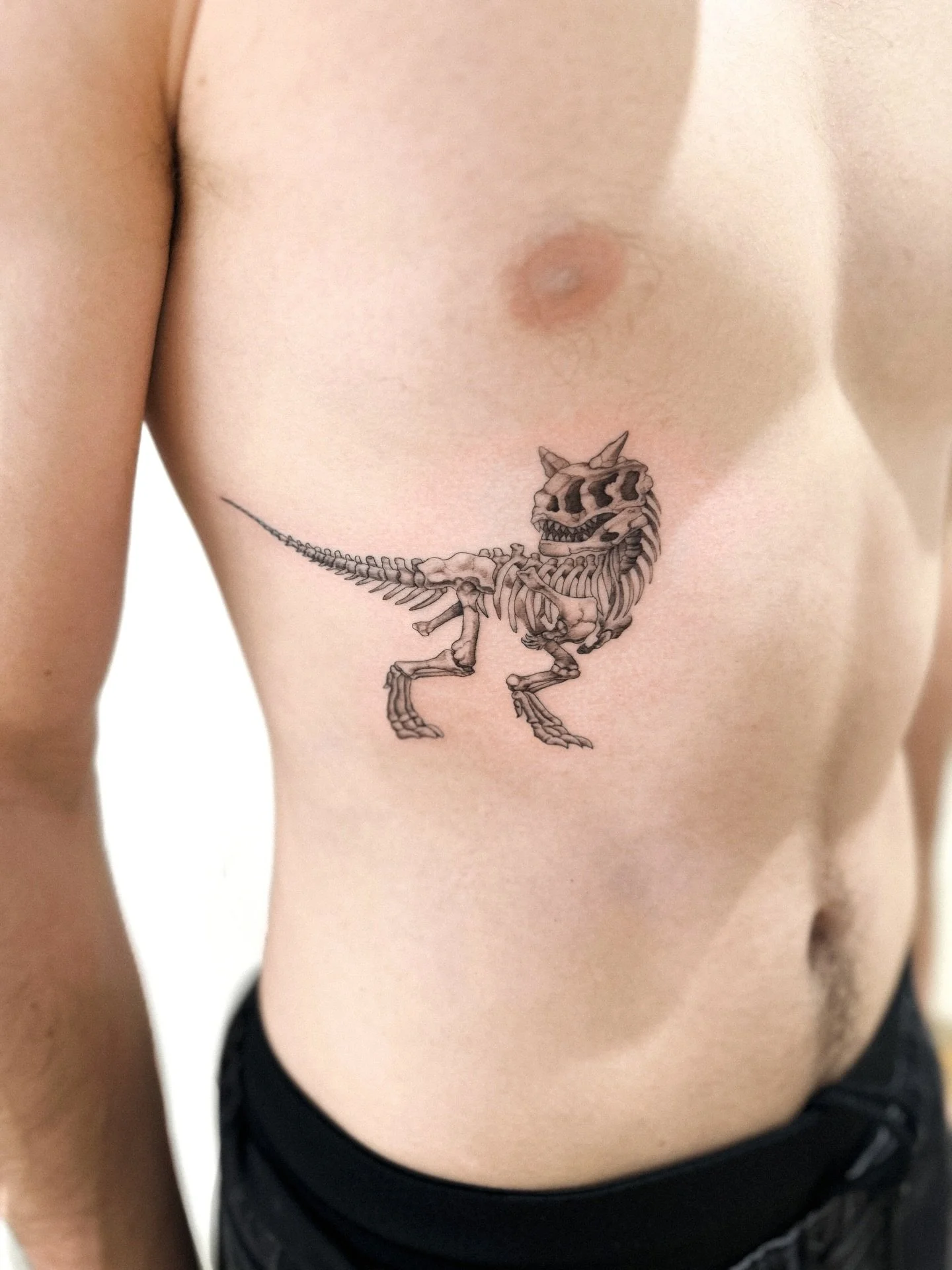 Carnotaurus Skeleton 🦖

#finelinetattooartist #dinosaurtattoo #adelaidetattoo