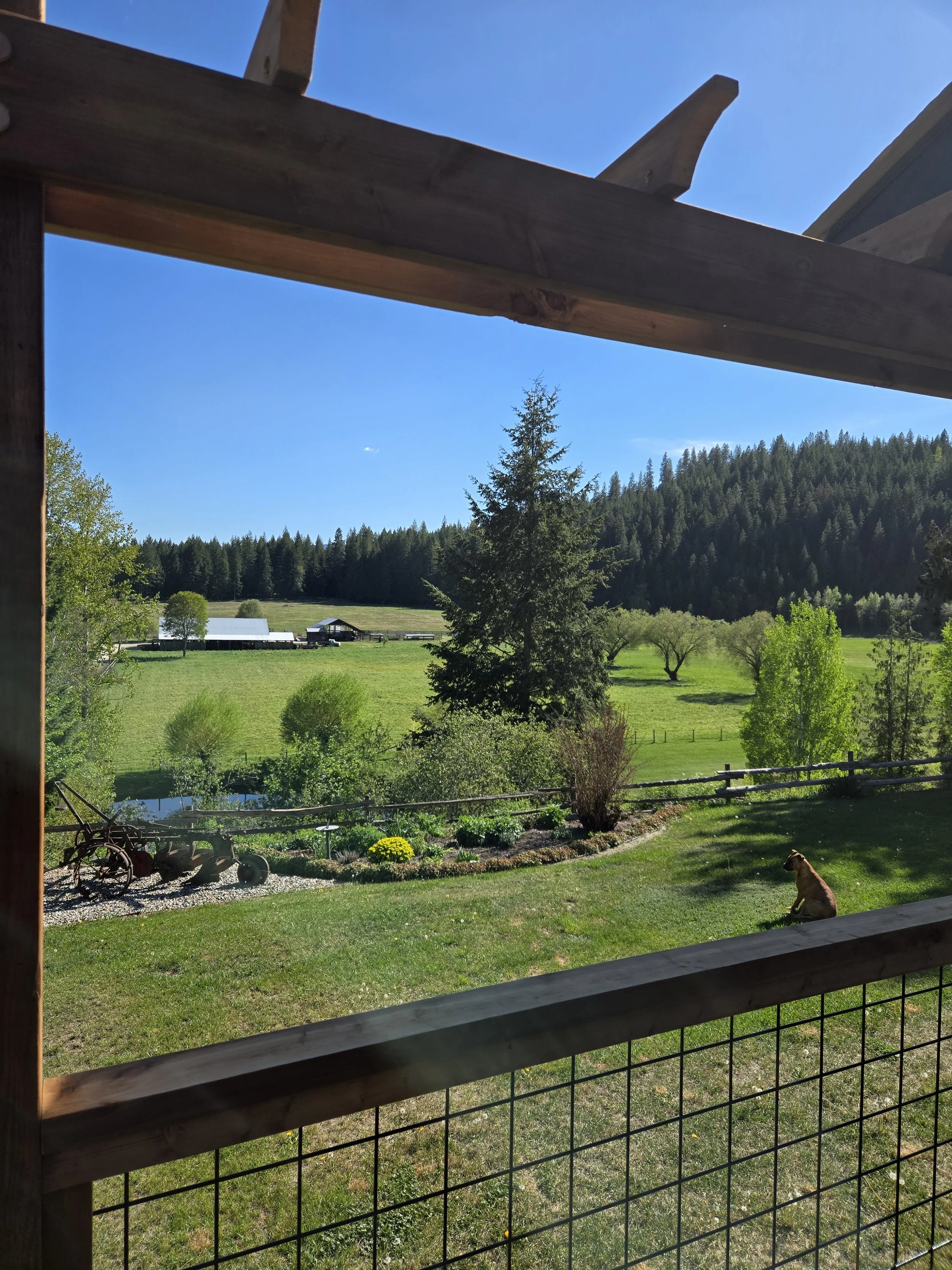 Scenic view of green fields, trees, and mountains in the distance under a clear blue sky, seen from a porch with a wooden railing and wire fencing, with a dog sitting on the grass.