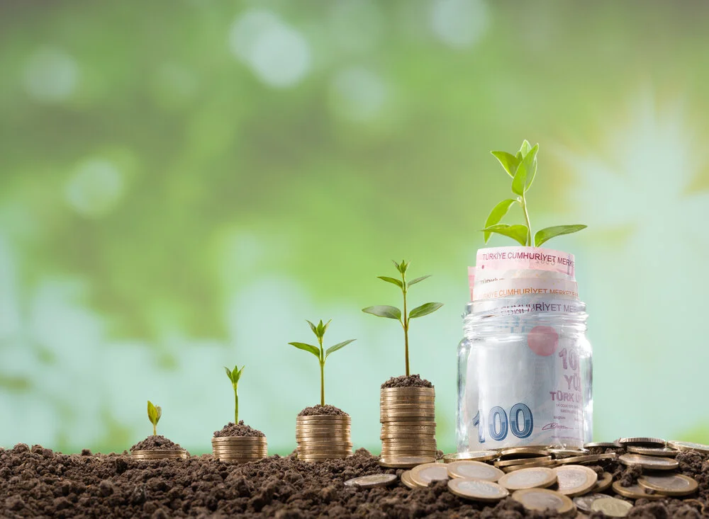 Nabung Reksadana Bisa Autodebit Nggak Ya? Aplikasi Bisa Otomatis Nabung