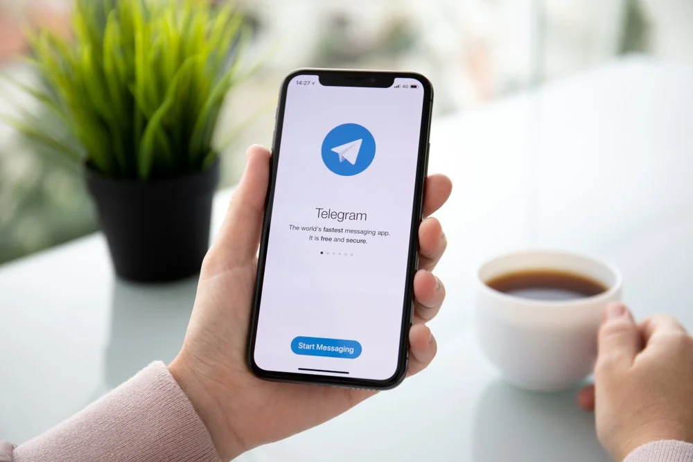 Grup Telegram Bibit Apakah Dikenakan Biaya? Ini Jawabannya!
