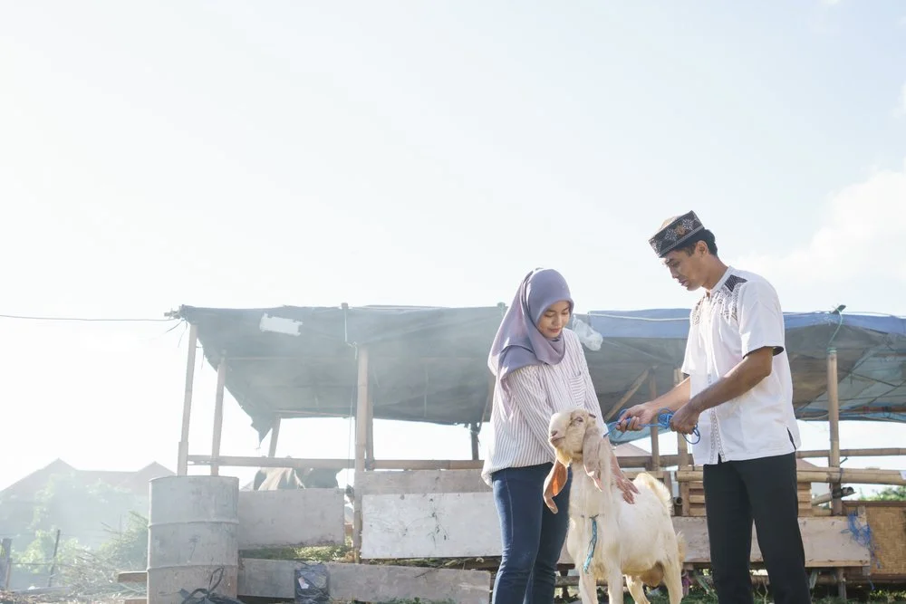 Tips Sukses Nabung untuk Qurban