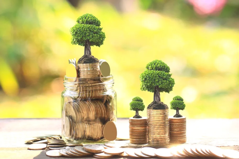 SBR012 Tawarkan Imbal Hasil Besar, Investasi Yuk!