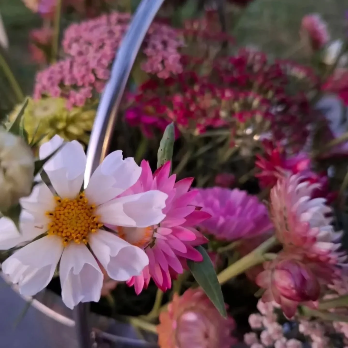 We have a few spots left for our Self Employed Christmas party! Send me a message for tickets if you're interested in coming along 💚

We're celebrating the hard work, growth, and grit of women in business. Are you a small business who might not get 