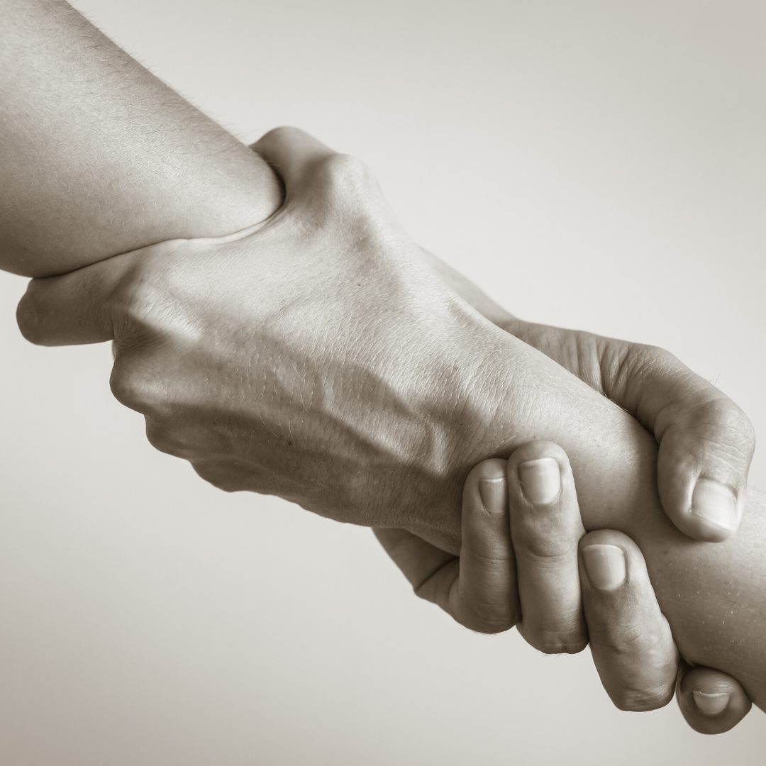 Large JPG-Aro Ha_0428.jpg