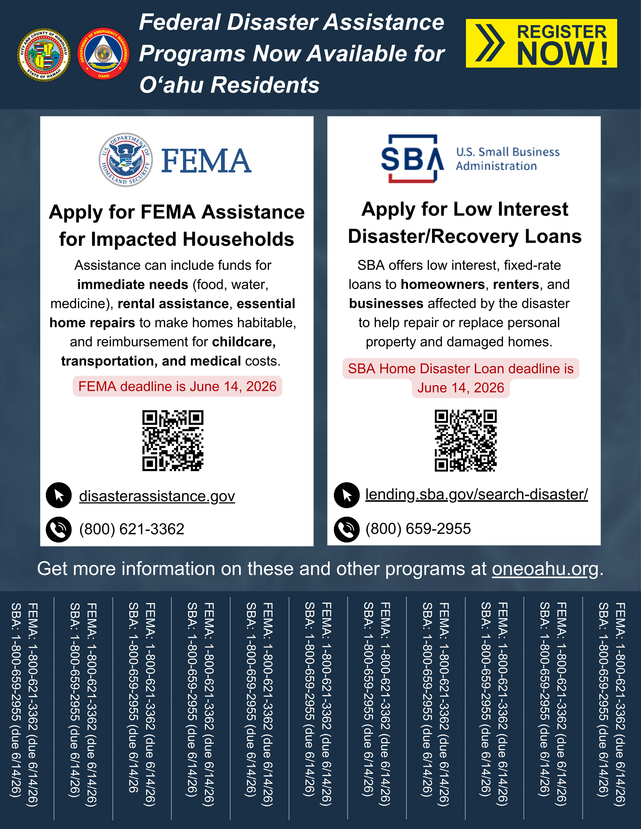 Tear Sheet Flier: FEMA & SBA Assistance (page 1 of 1)
