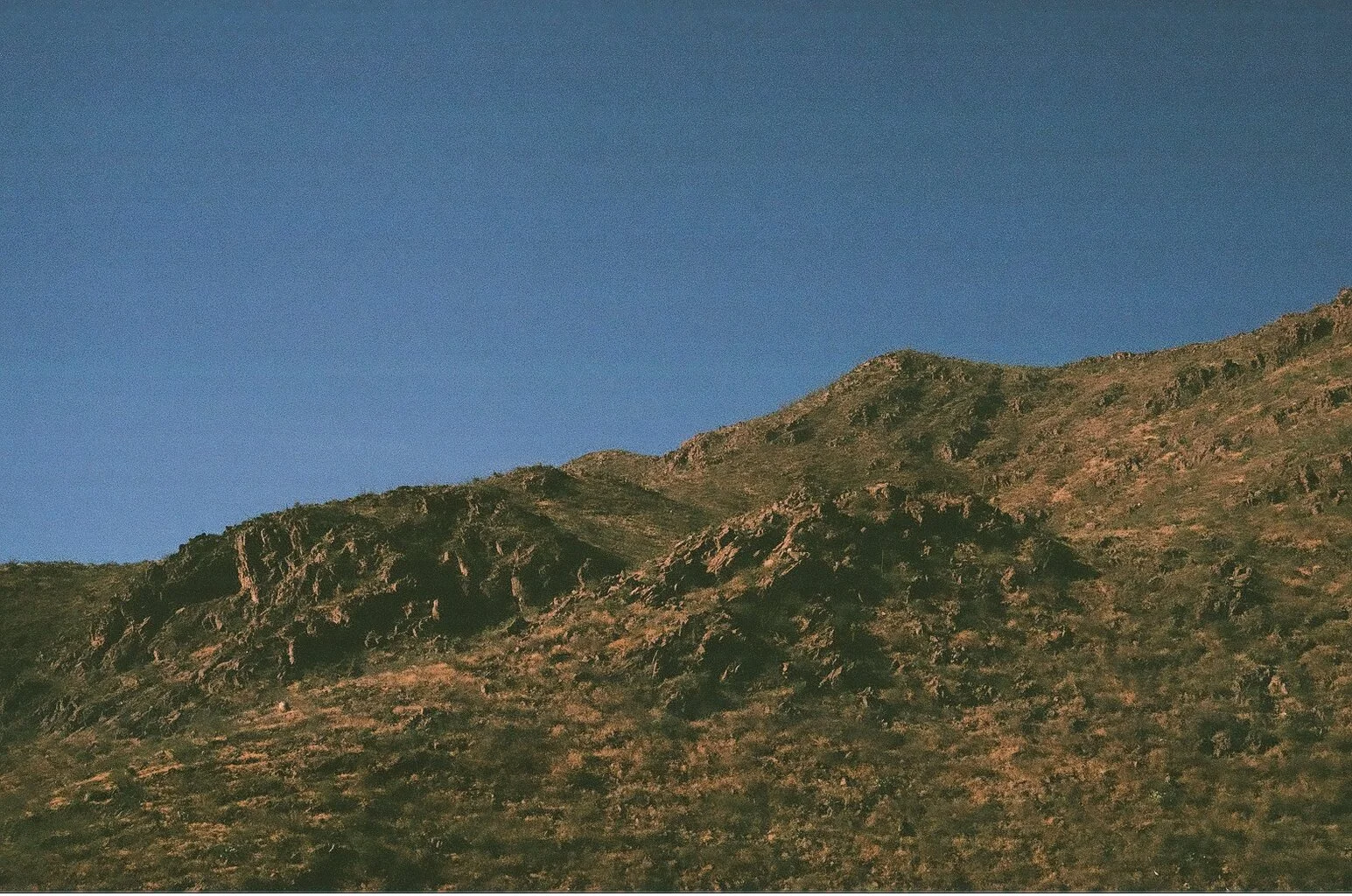 000248090001.jpg