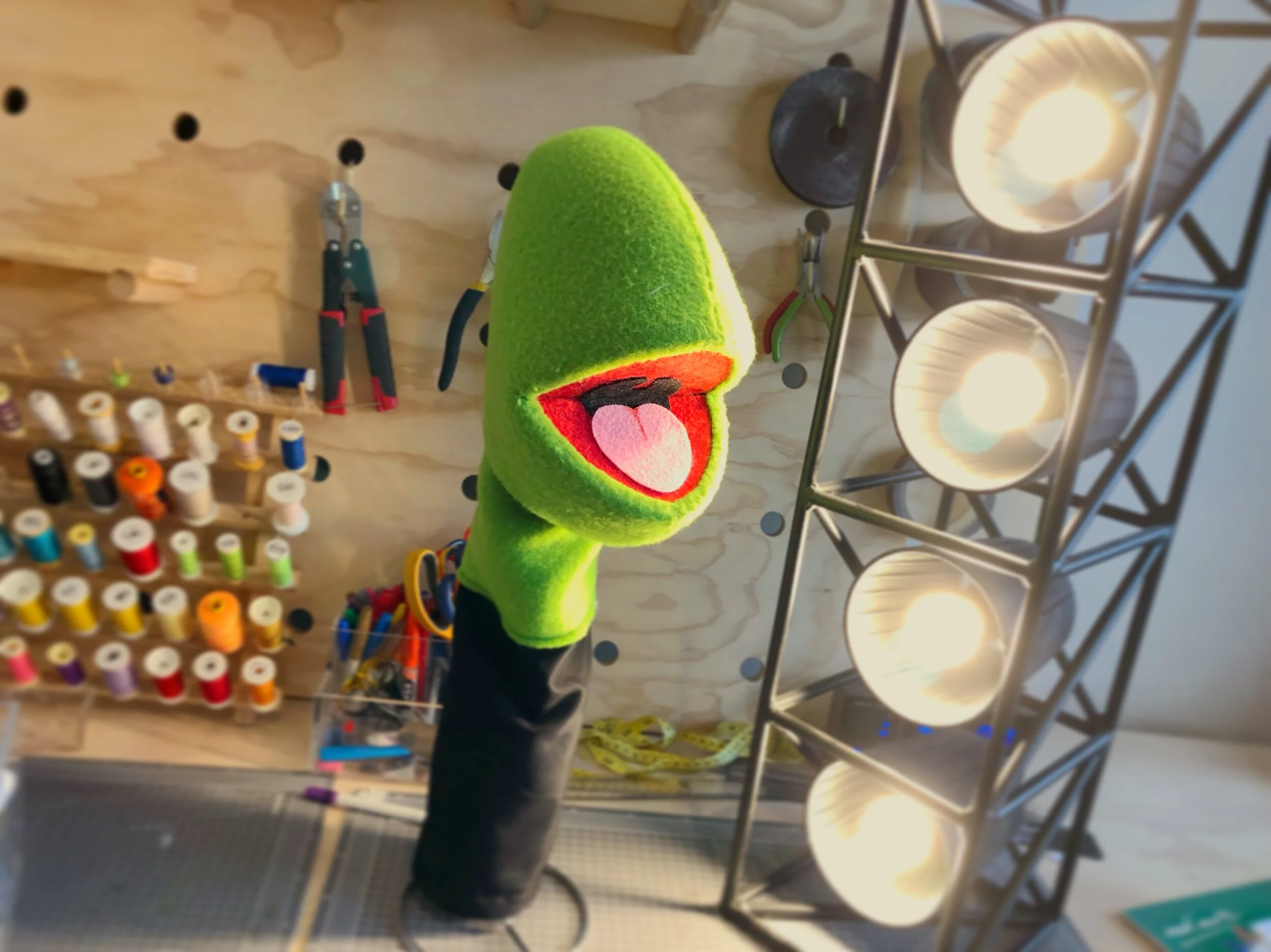 Custom Puppets — The Puppet Creation Lab