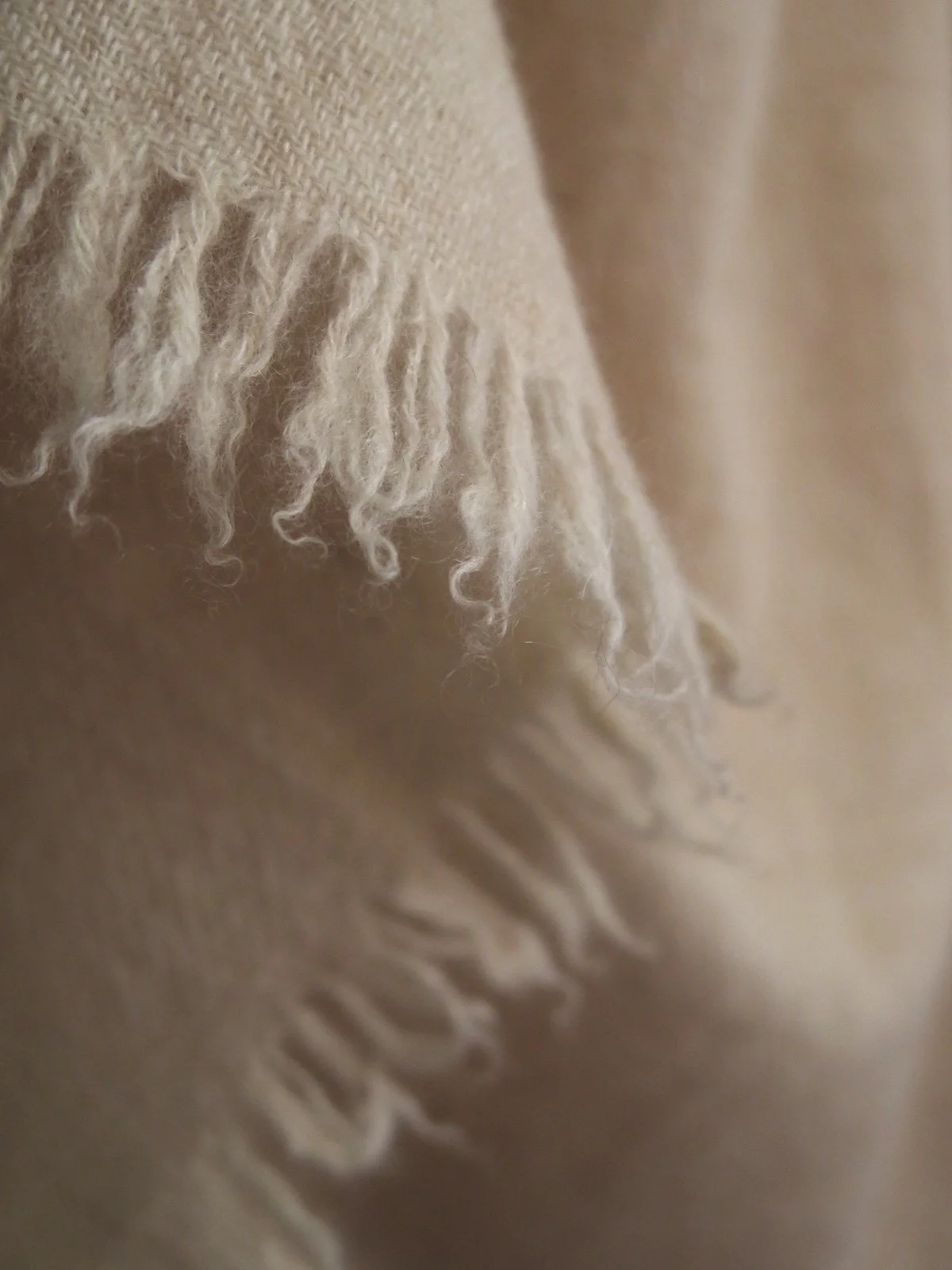 W_MATKA_CASHMERE SHAWL_8.jpg