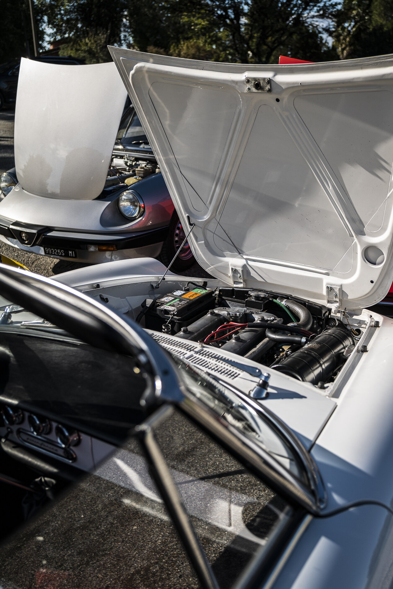 Alfa Romeo Spider Duetto (18).jpg