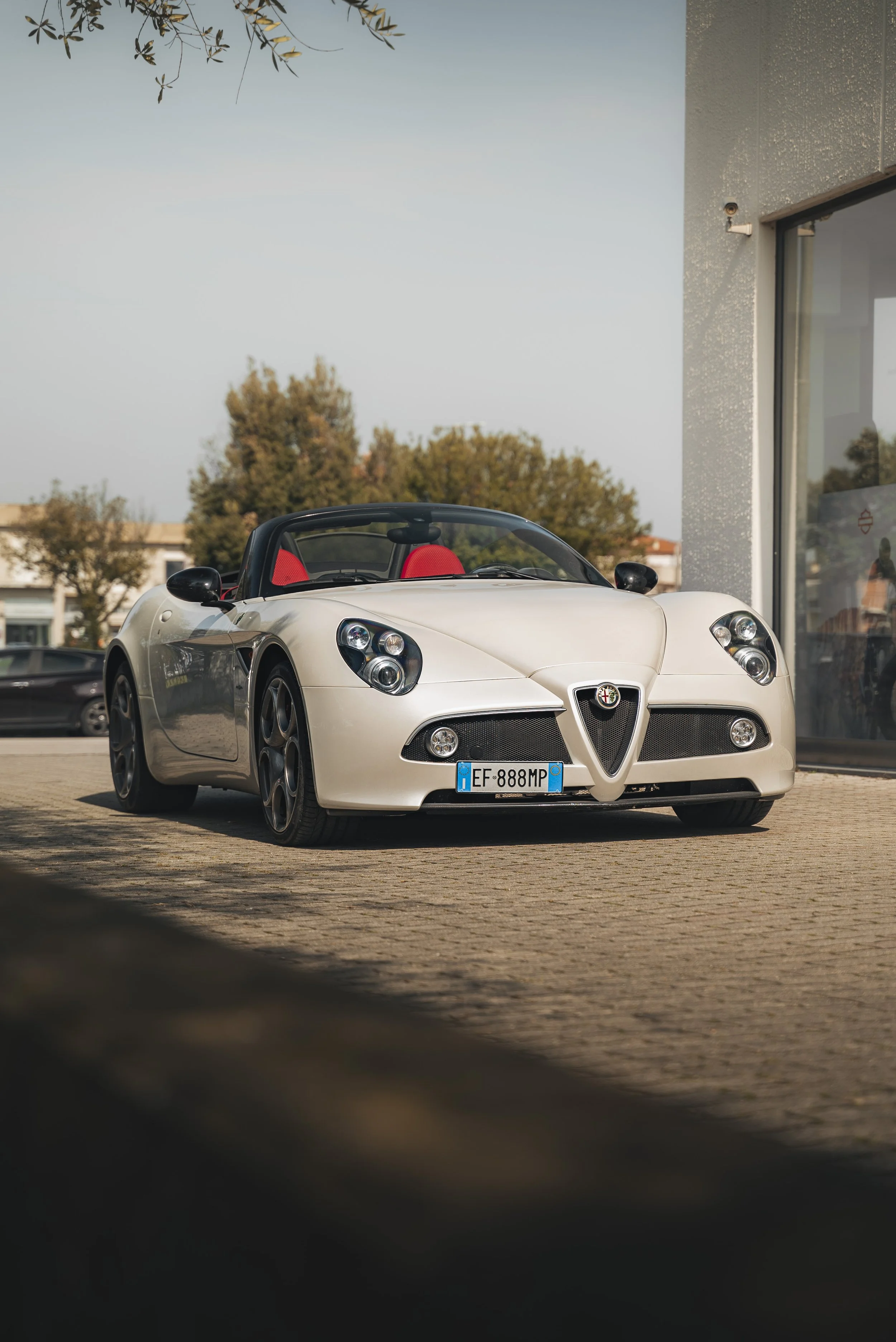 ACS8CSpider3x2-8.jpg
