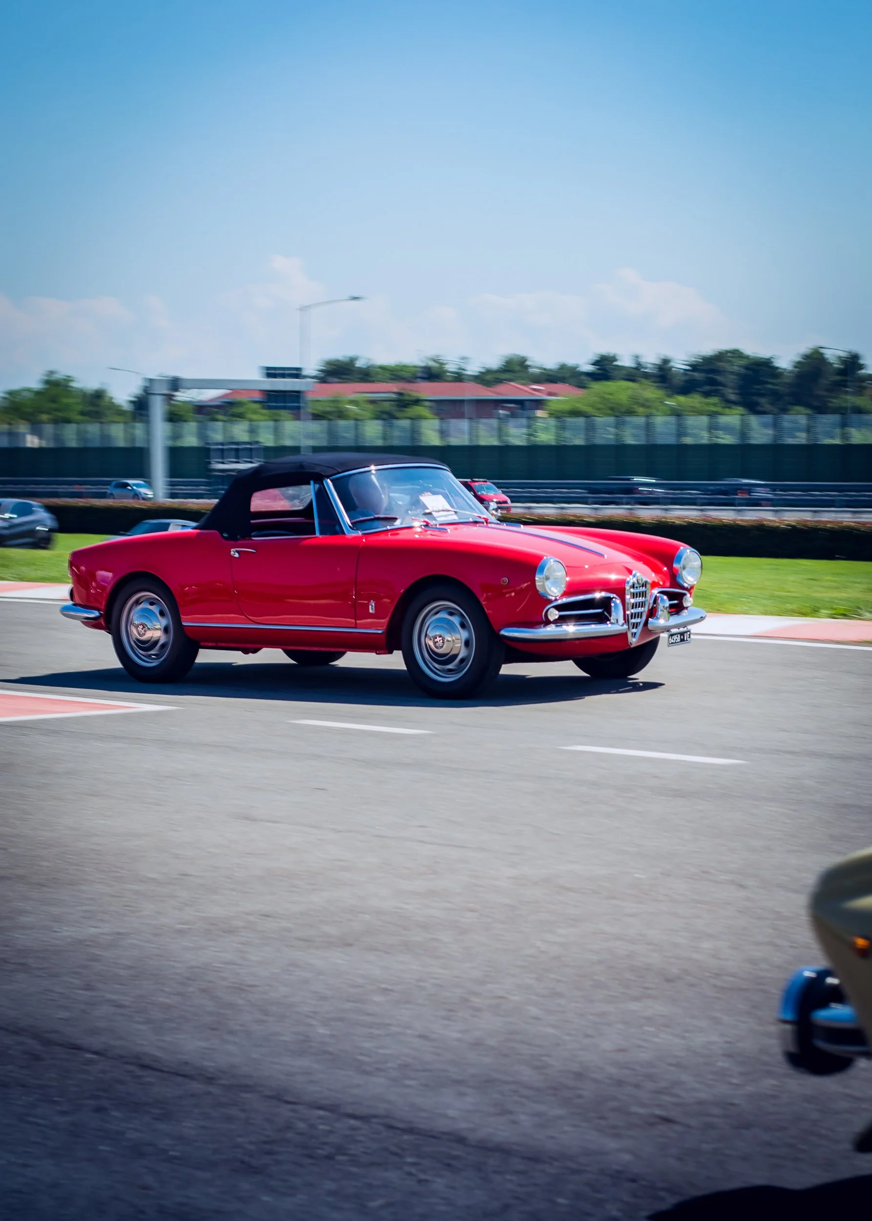 my_redgiulia-Photography_DSC0079.jpg