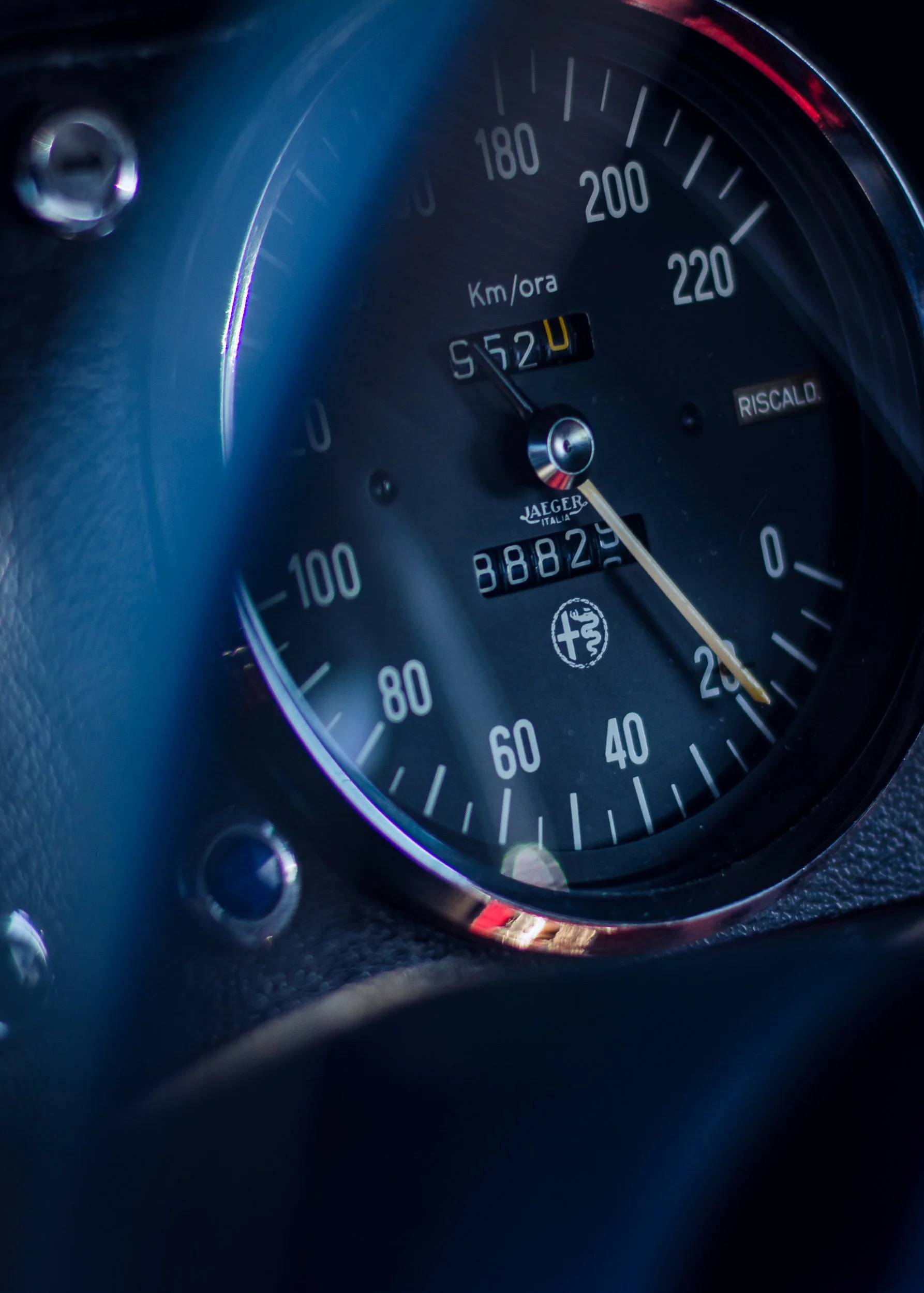 real alfa (124).jpg