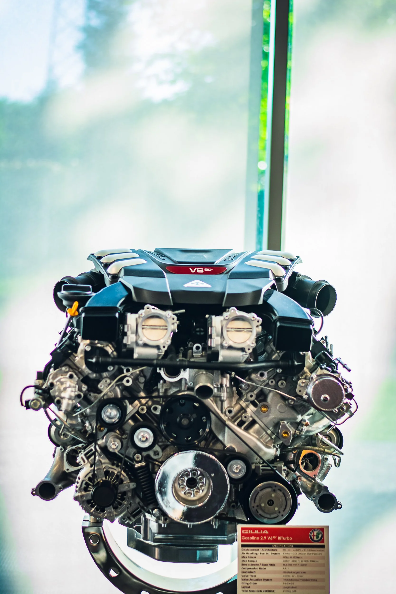 my_redgiulia-Photography_DSC0715.jpg