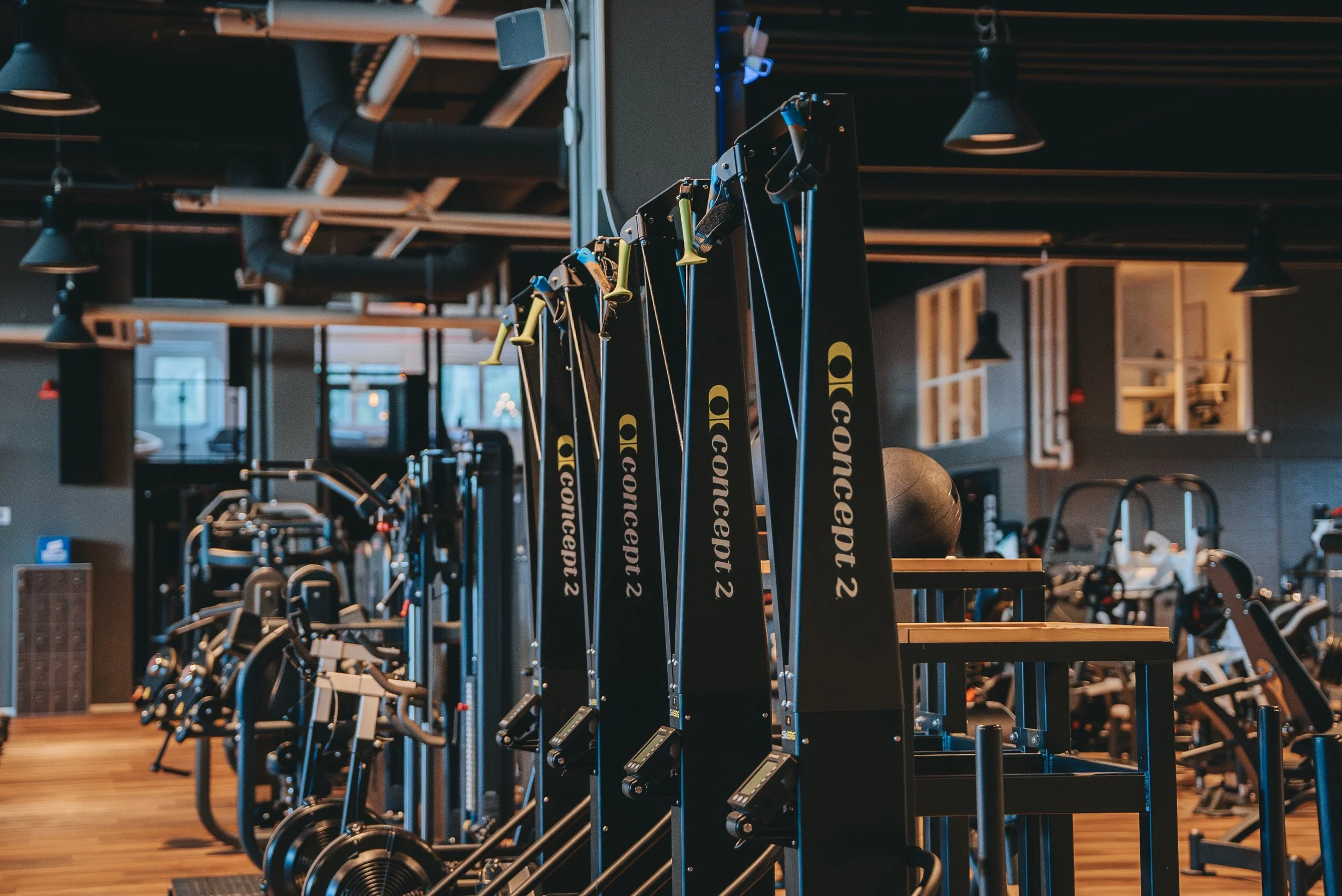 Stakningsmaskiner Skierg från Concept i vacker gymmiljö