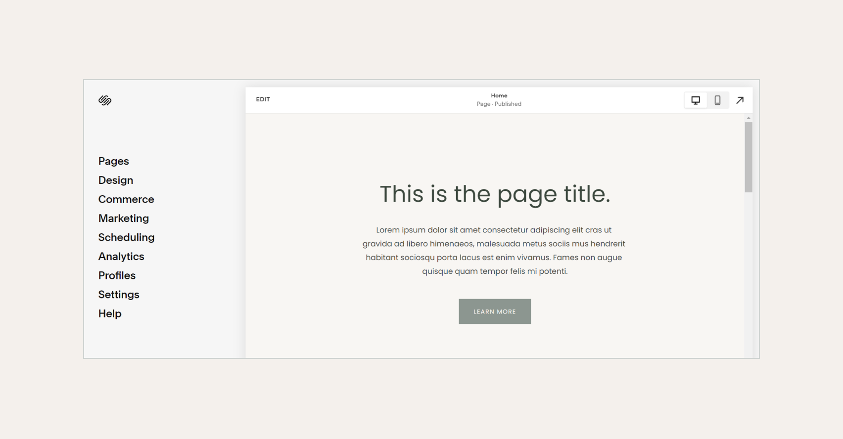 How to Remove the Header and Footer from a Squarespace Page — Wolf & Wild