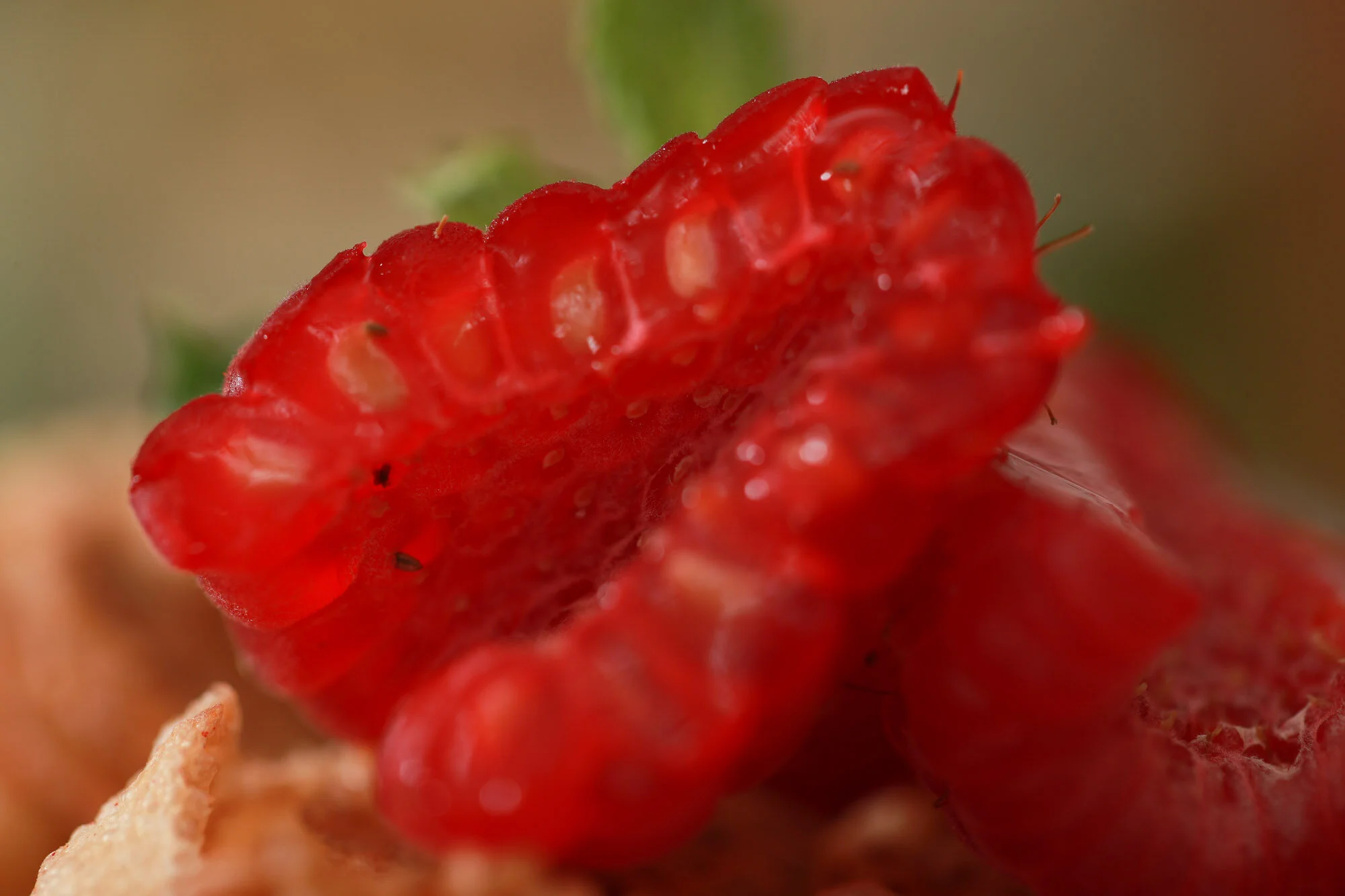 Gros plan d'une fraise rouge coupée, montrant la texture et les petites graines.