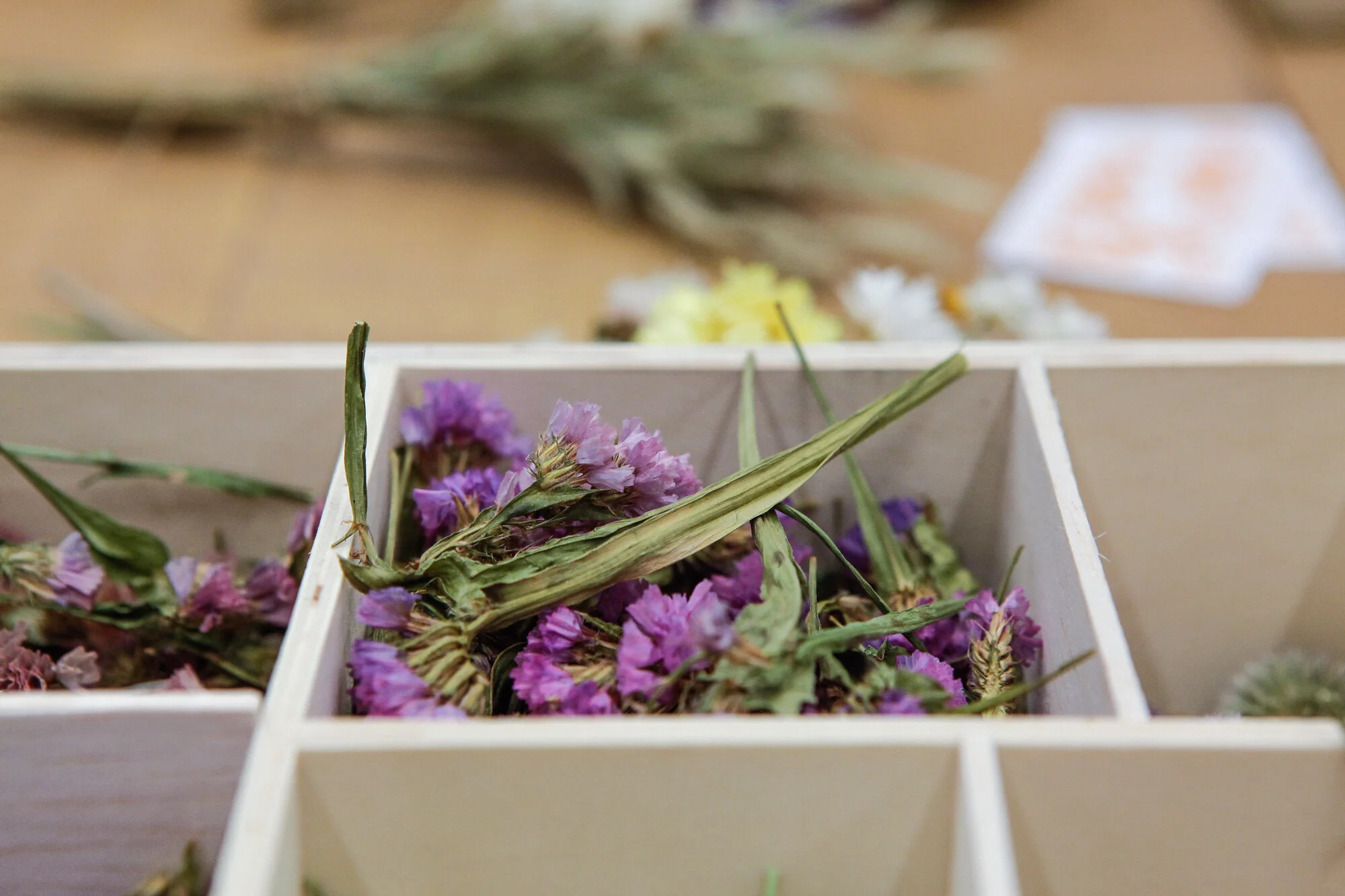 Fleurs séchées violettes dans une boîte en bois, floue en arrière-plan.
