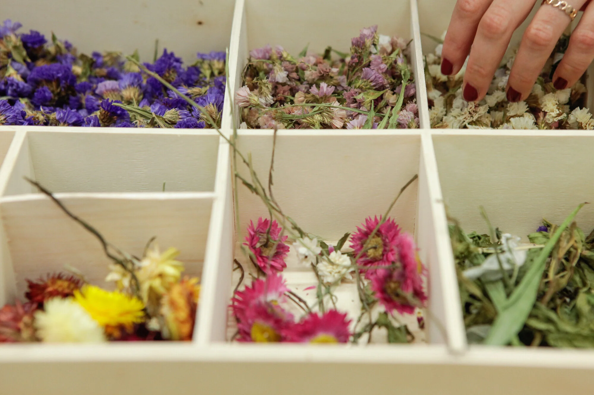 Coffret en bois avec différentes fleurs séchées de couleurs violette, rose, blanche, jaune et orange.