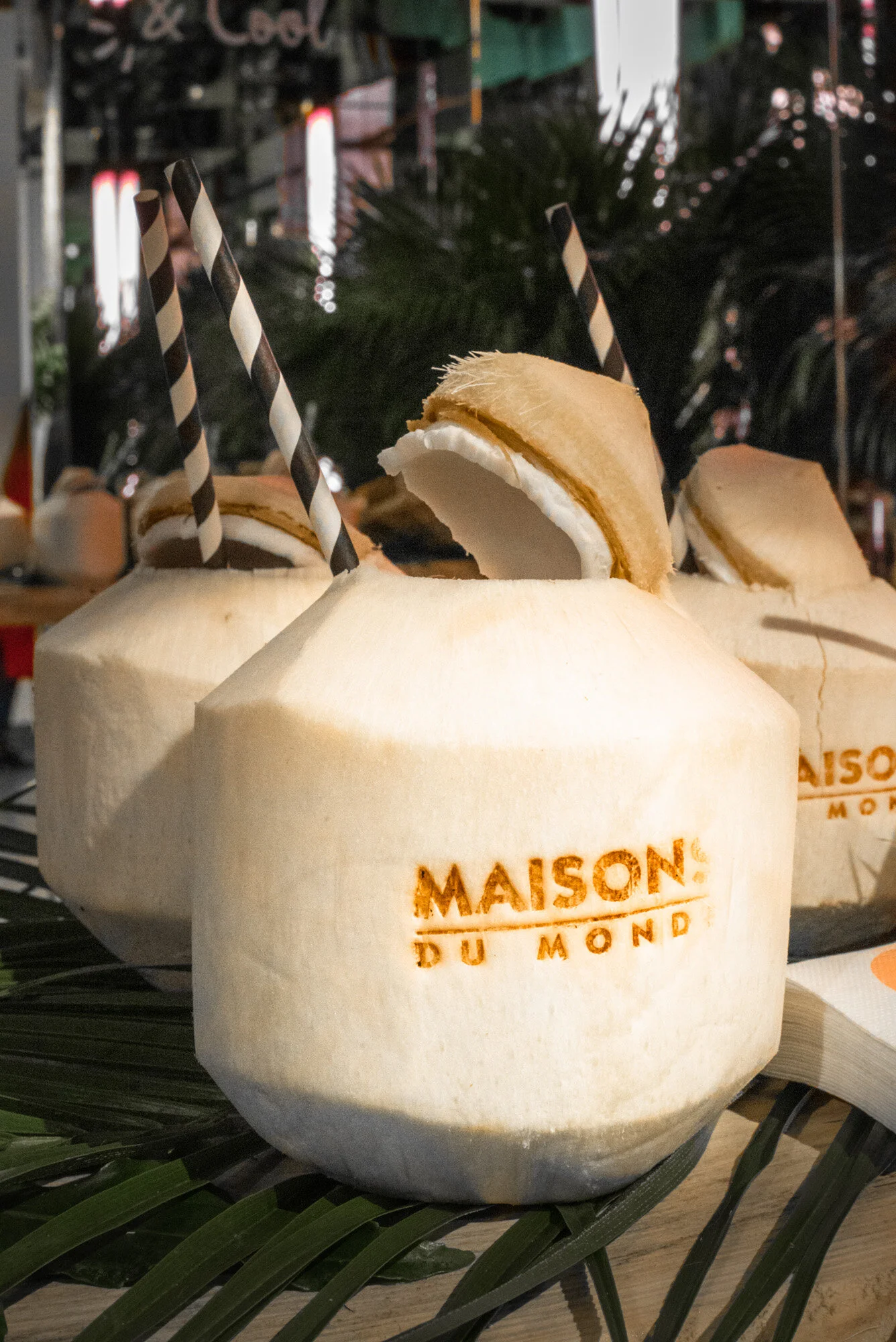 Cocos avec paille et crème à l'intérieur, portant l'inscription "MAISON DU MONDE" gravée sur la coque, en arrière-plan autres cocos et décor tropical avec végétation