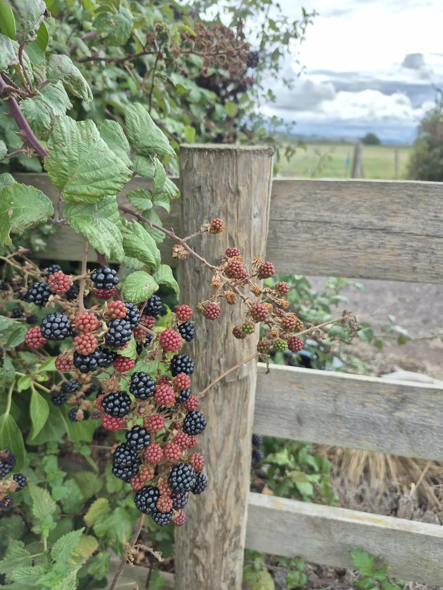 The Wheel Turns: From Summer into Autumn