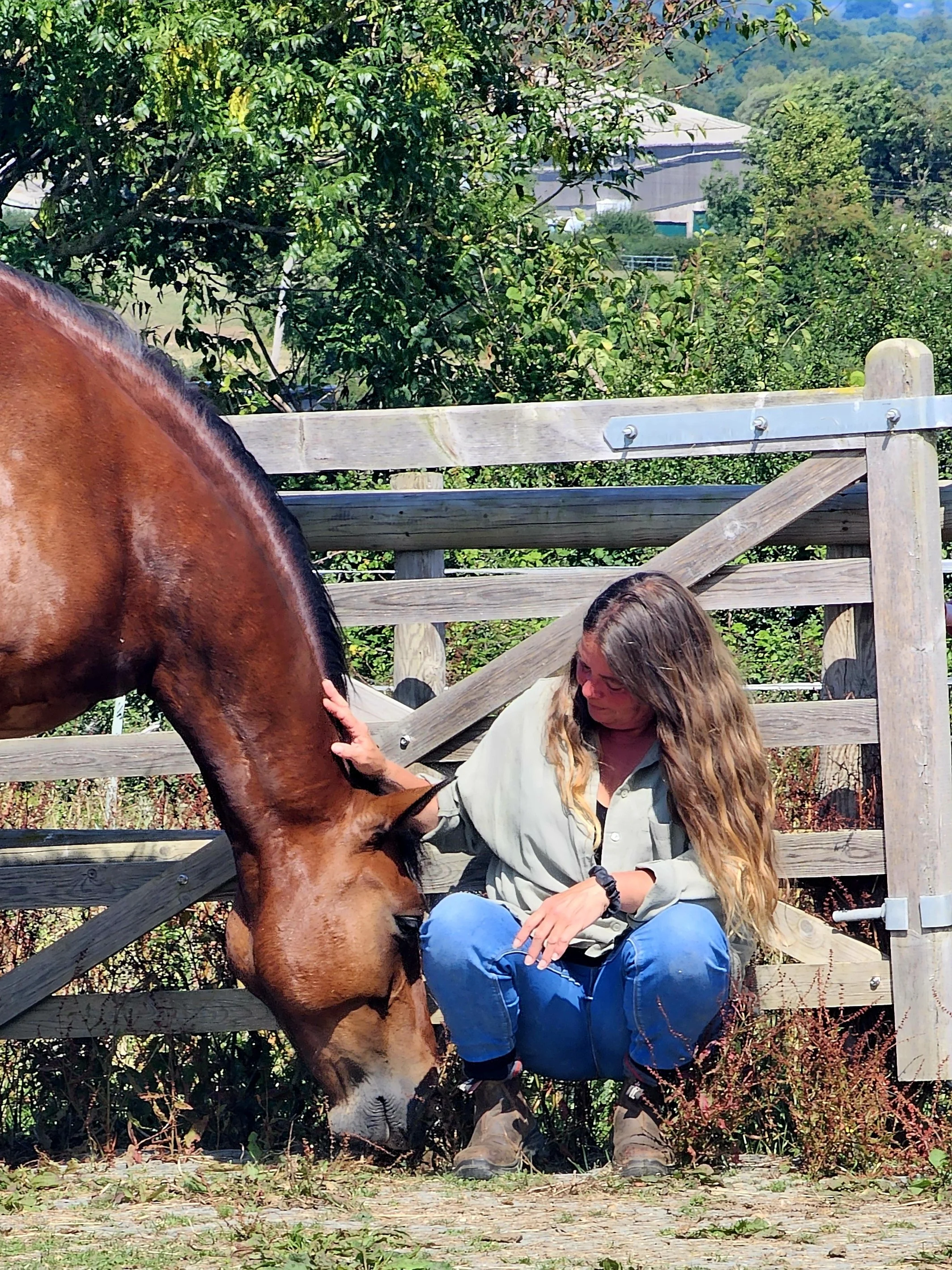 6th June 2026 - Equine Connection & Reiki Workshop