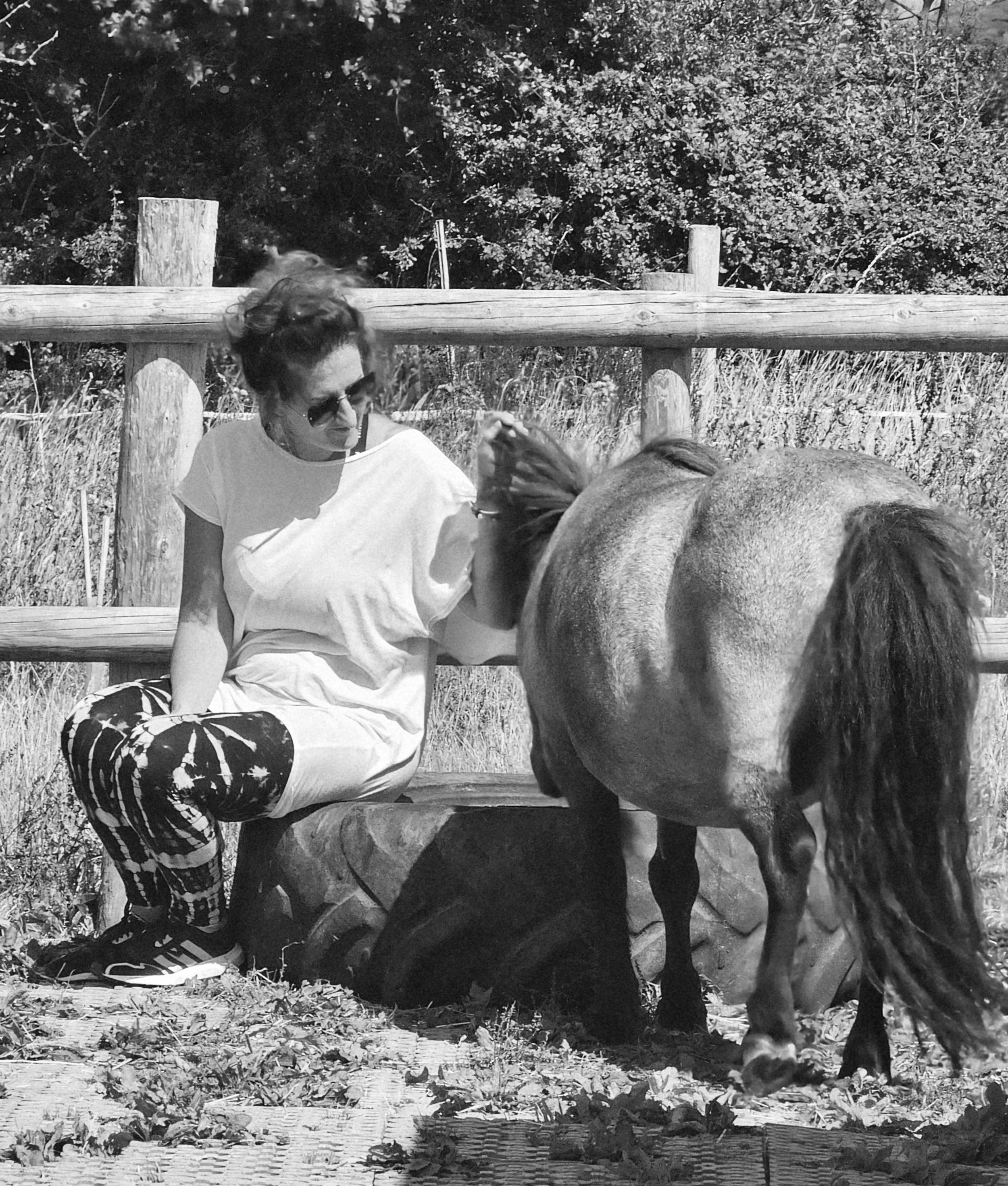 25th July 2026 - Sound Healing with Horses – A Nature-Based Workshop