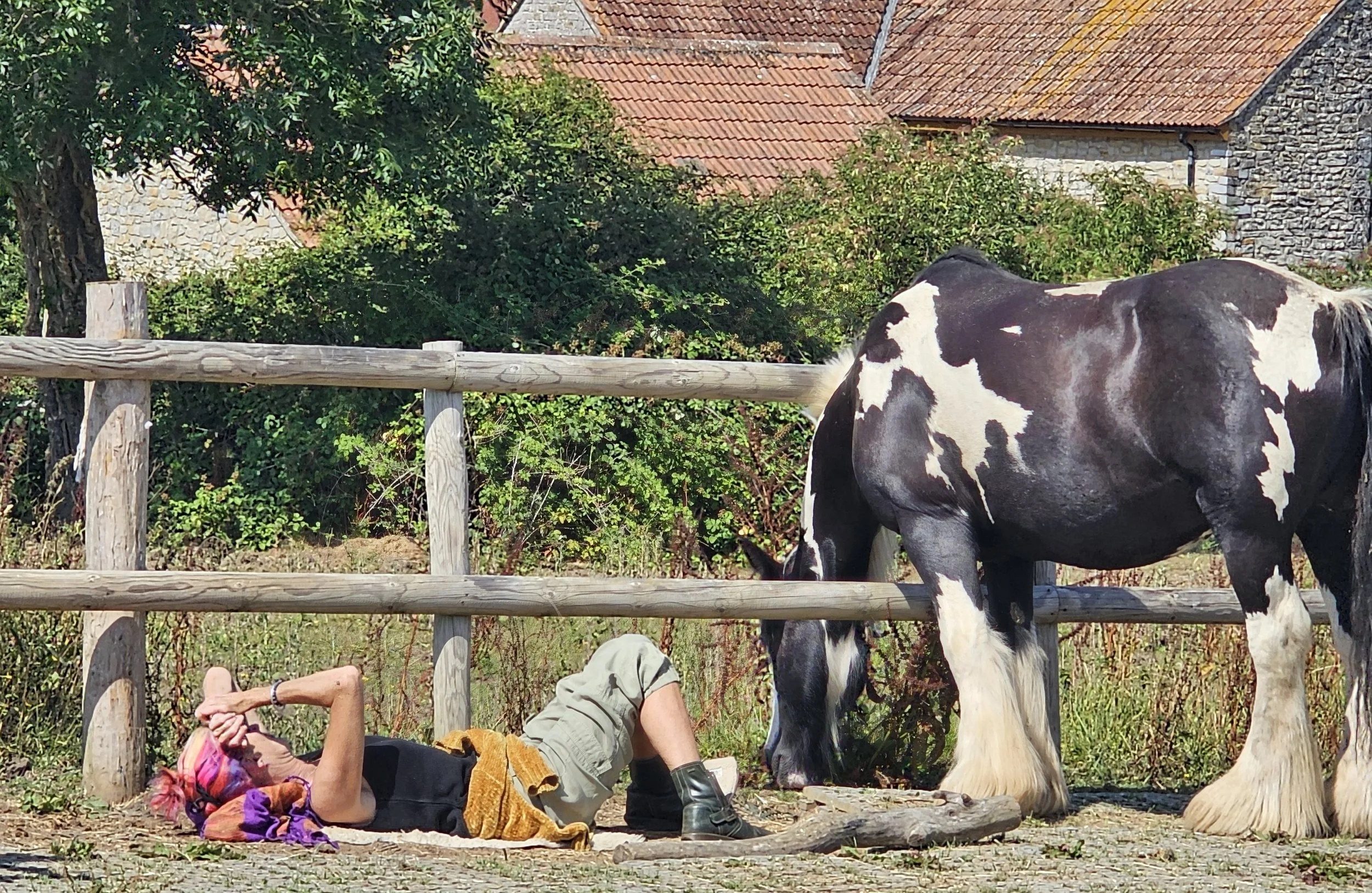 25th April 2026 - Equine Connection & Breathwork Workshop