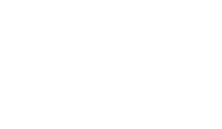 The Mayflower