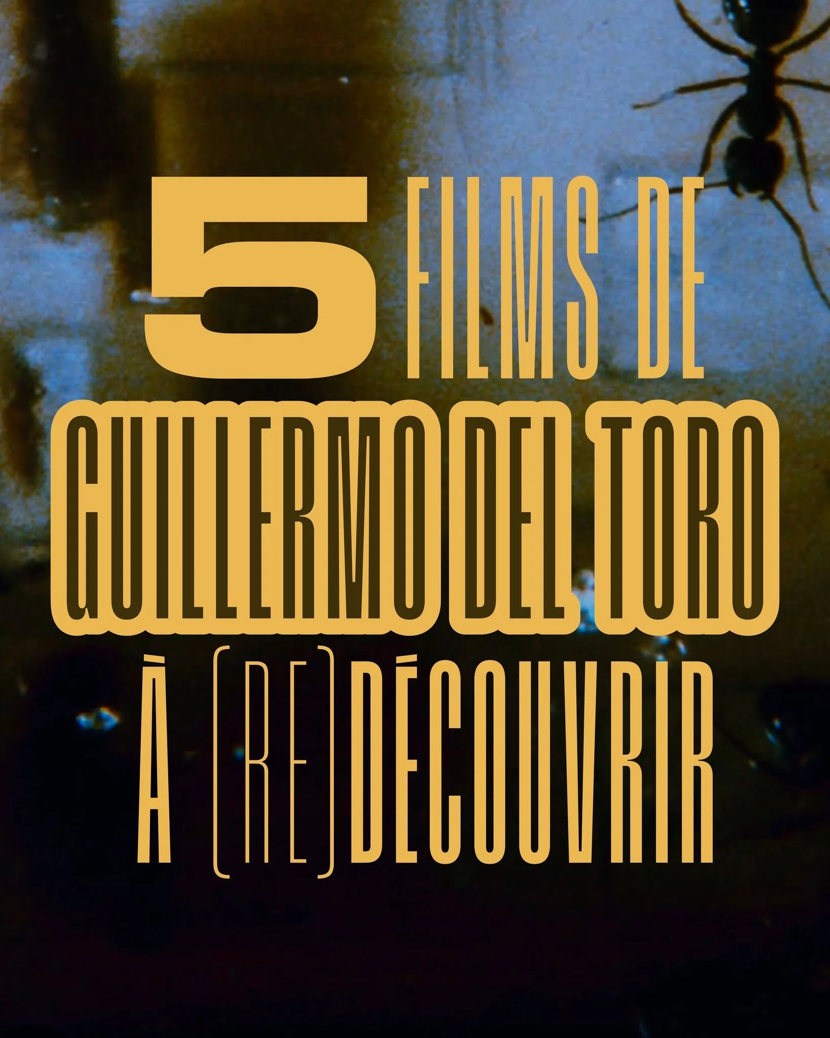 GUILLERMO DEL TORO 🦋
5 FILMS DE GUILLERMO DEL TORO &Agrave; (RE)D&Eacute;COUVRIR

Retrouvez notre Hors-s&eacute;rie n&deg;23 sur la filmographie de Guillermo del Toro actuellement en vente !