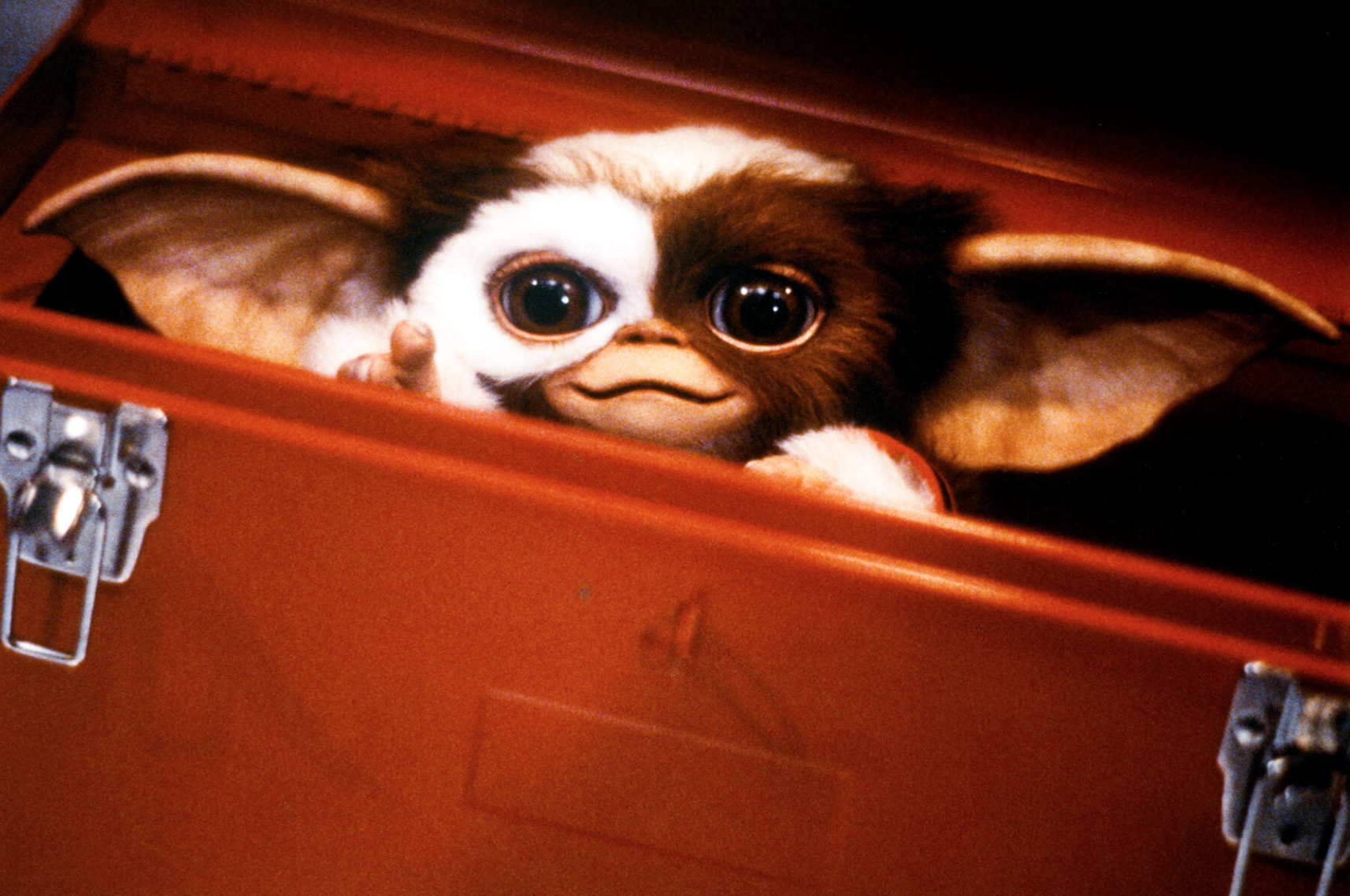 JOE DANTE ET L'INCARNATION DU CINÉMA