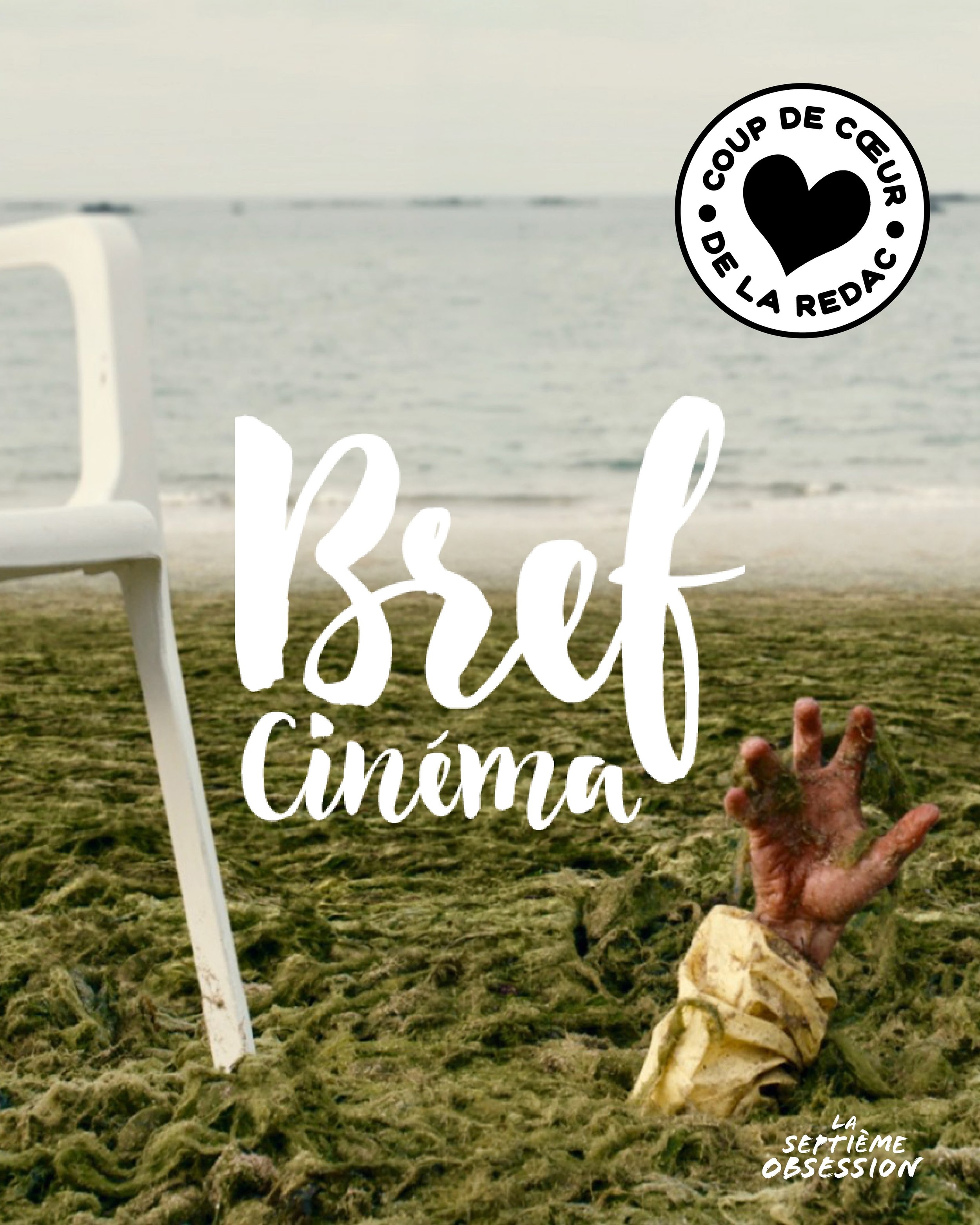 BREF CIN&Eacute;MA
LES COUPS DE COEUR DE LA REDAC 🤍

@brefcinema est la seule plateforme VOD 100% d&eacute;di&eacute;e au court m&eacute;trage.&nbsp;Lanc&eacute;e en 2016&nbsp;par L&rsquo;Agence du court m&eacute;trage, elle a pour vocation&nbsp;de 
