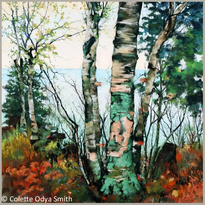 Vantage Point - Pastel/watercolor - 30” x 30”