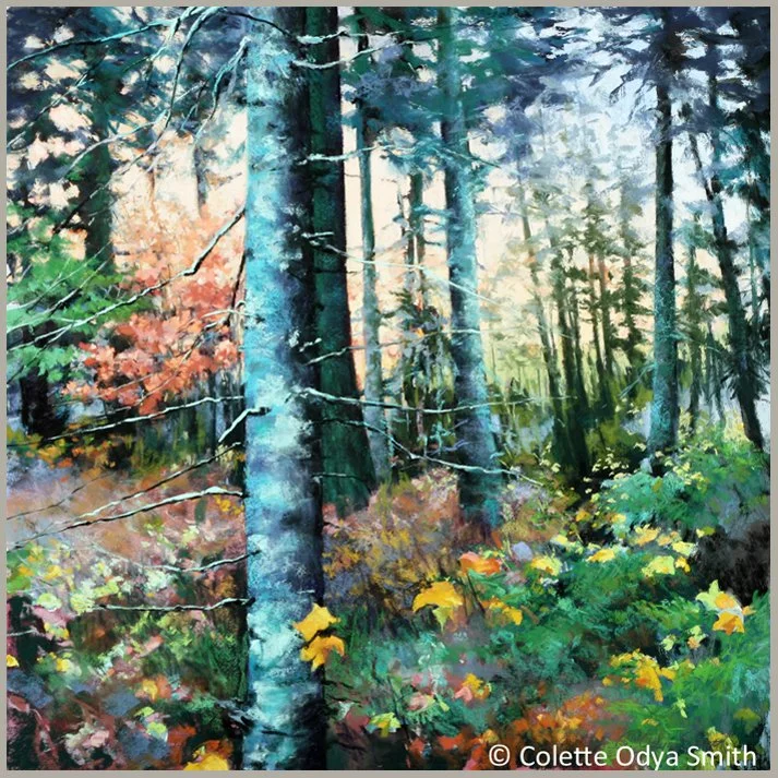 Drawn in Deeply - Pastel/watercolor - 30” x 30”