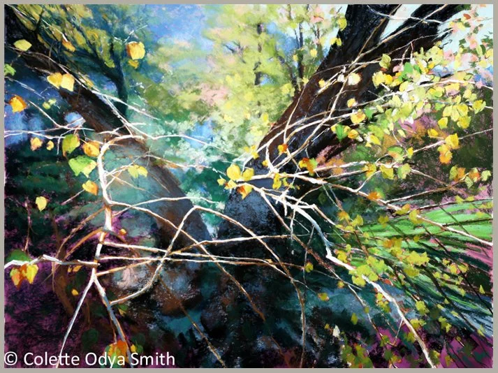 Speaking of Trees - Pastel/watercolor - 30” x 40”