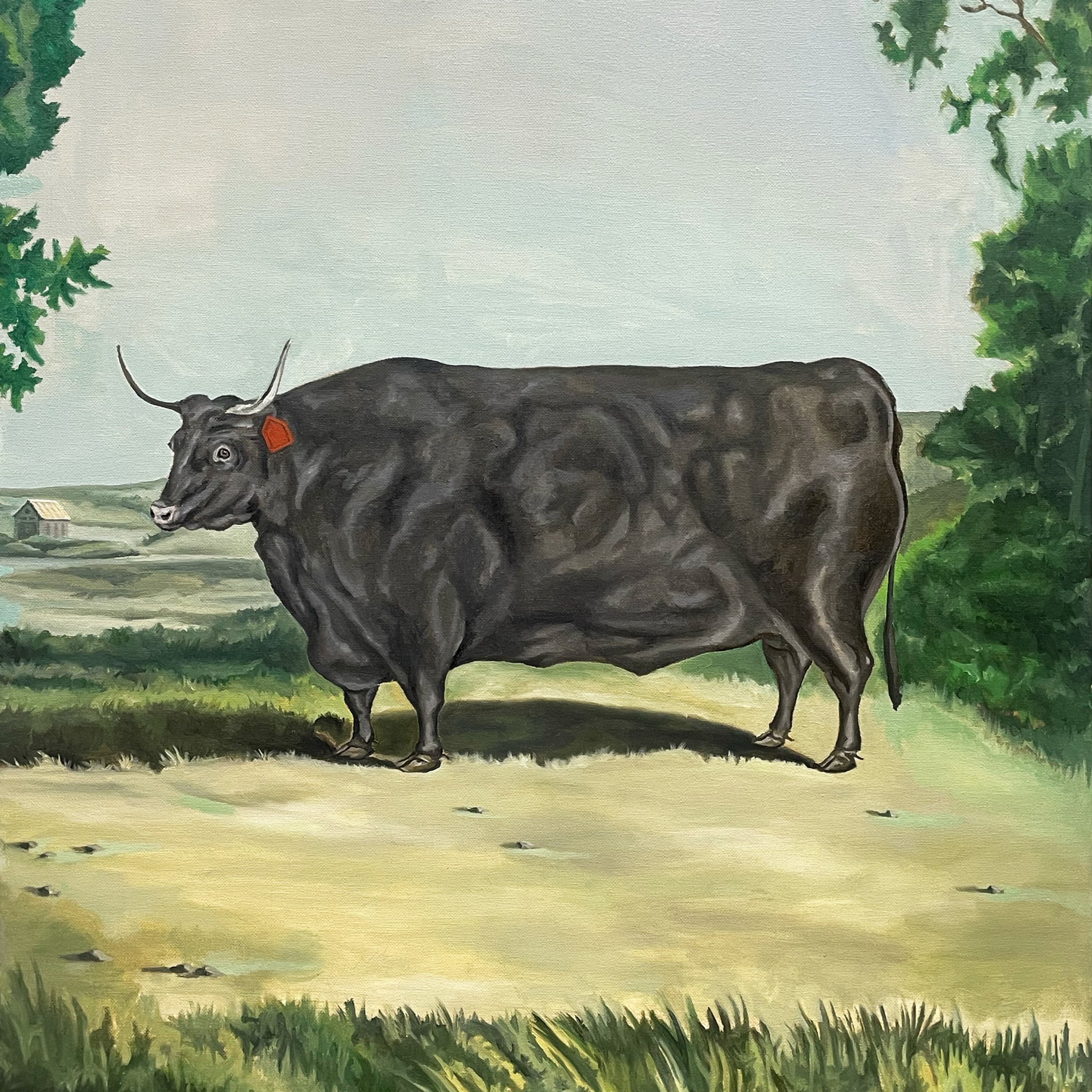 prize bull square.jpg