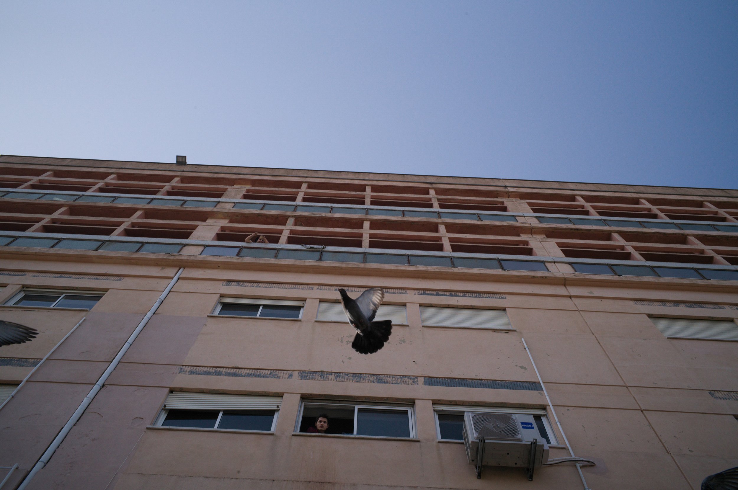  Pidgeons fly in the entrance to the former military Hospital of Ajuda, Lisbon, Portugal, where students and staff of the Afghanistan National Institute of Music lived in for 8 months. July 2022 