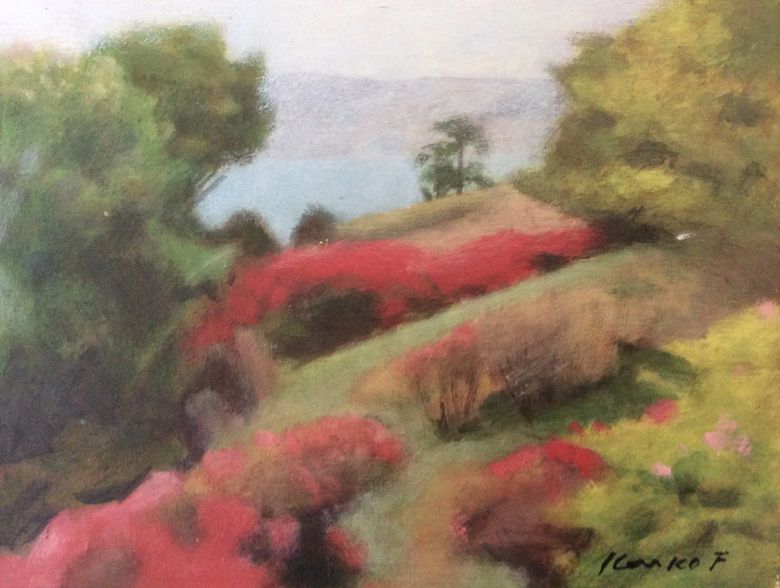 Rhododendrens at Kujuukushima