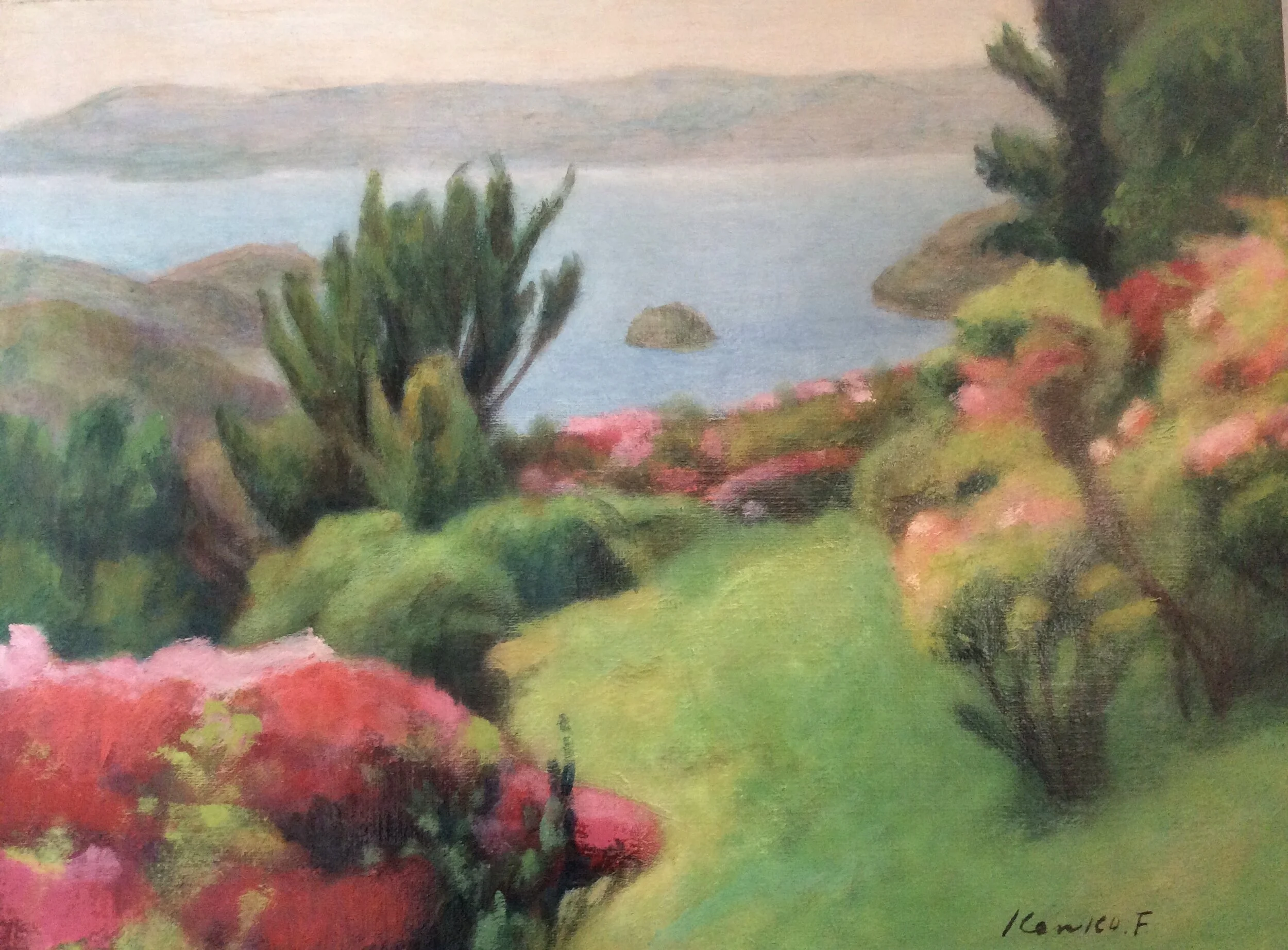 Rhododendrens at Kujuukushima 