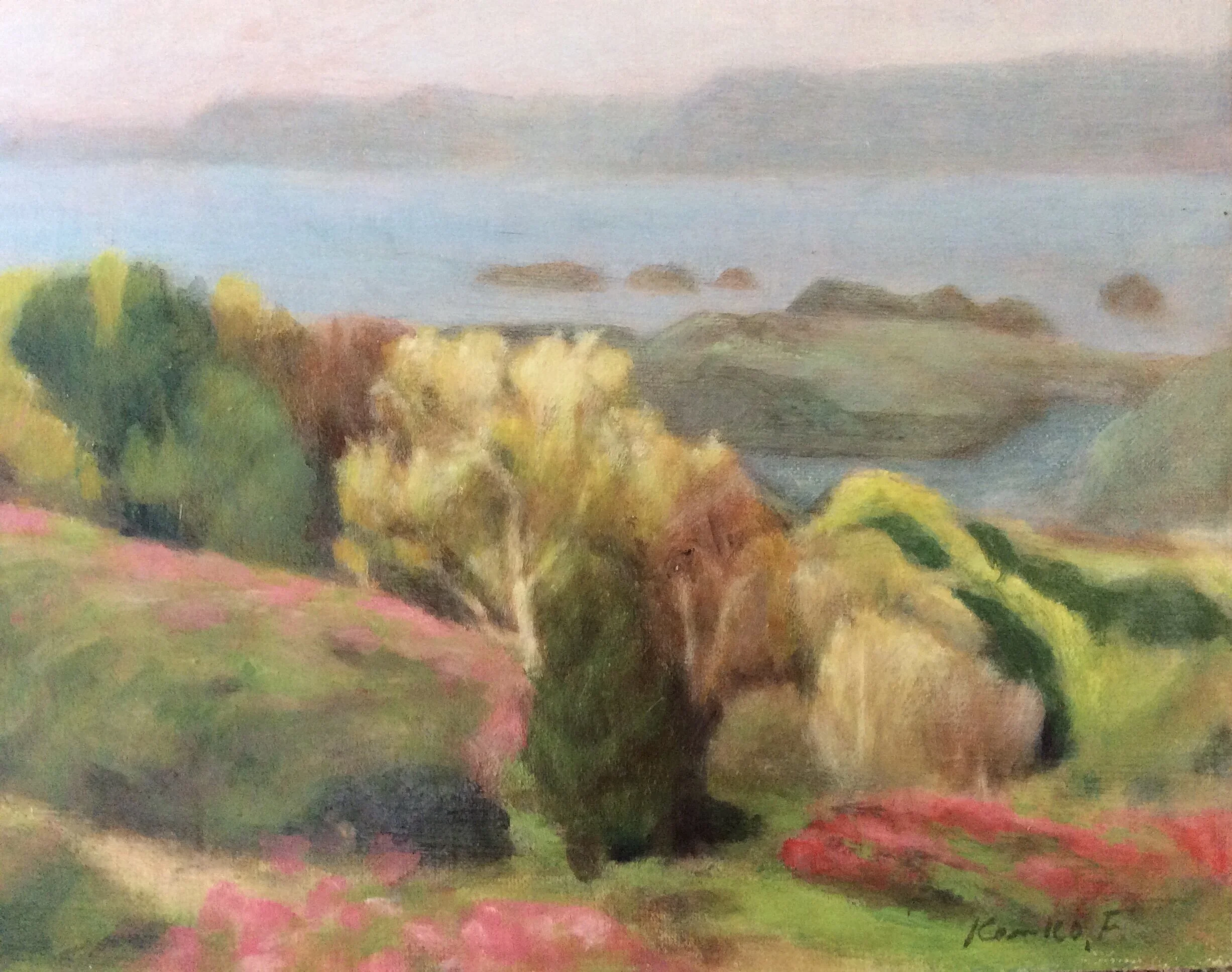 Rhododendrens at Kujuukushima