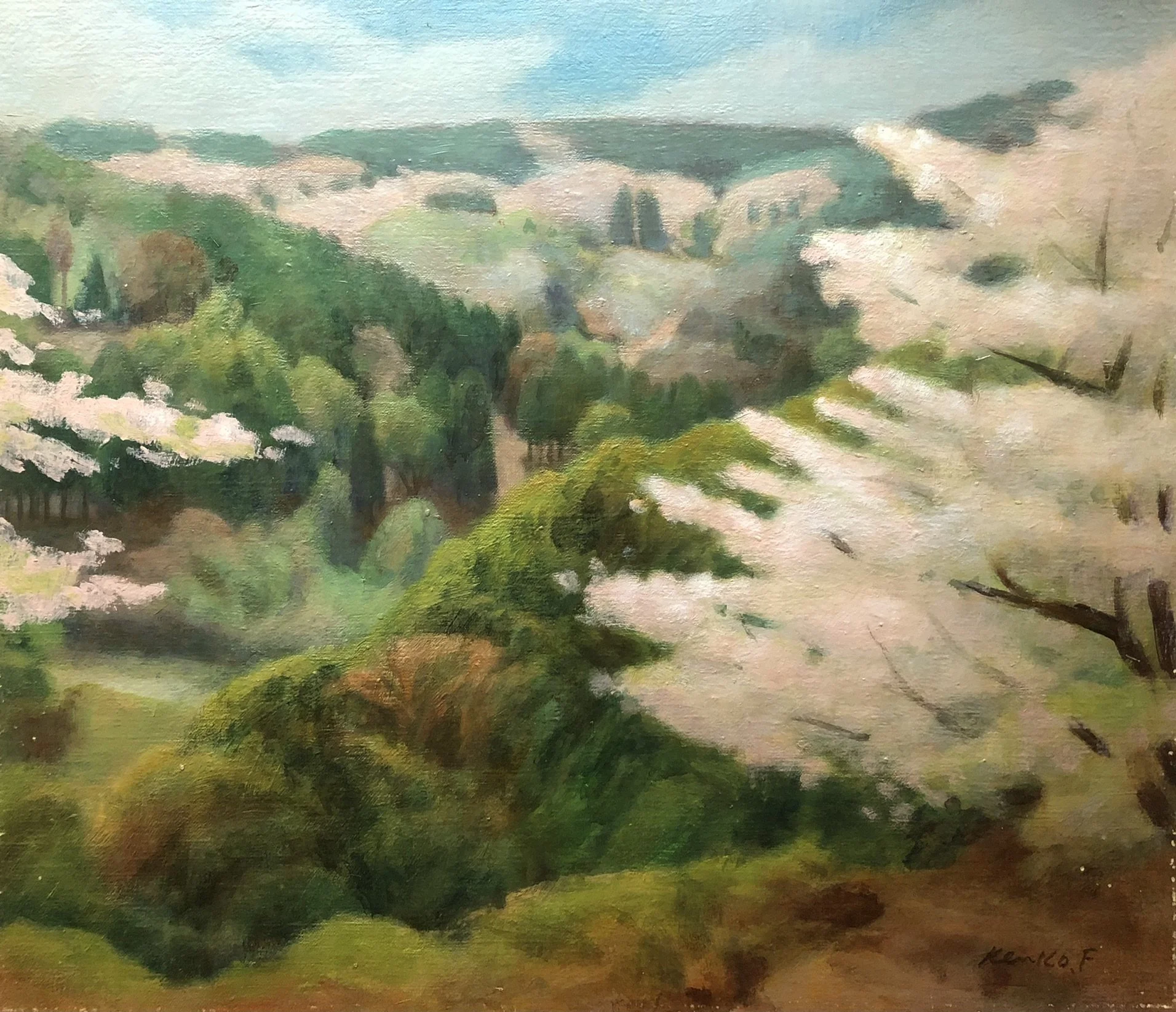 Cherry blossom, Yugawahara